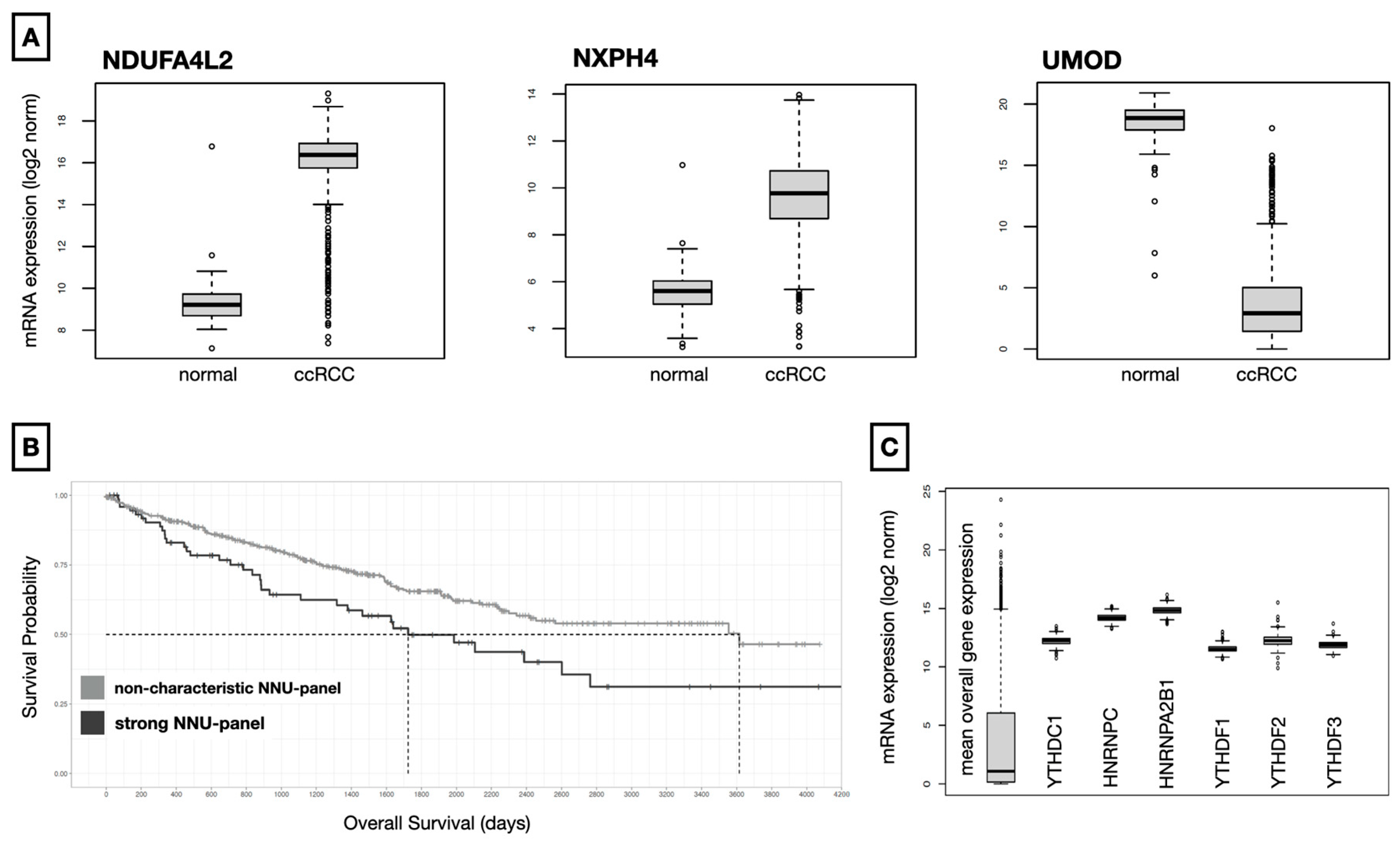 Diagnostics 13 00823 g002