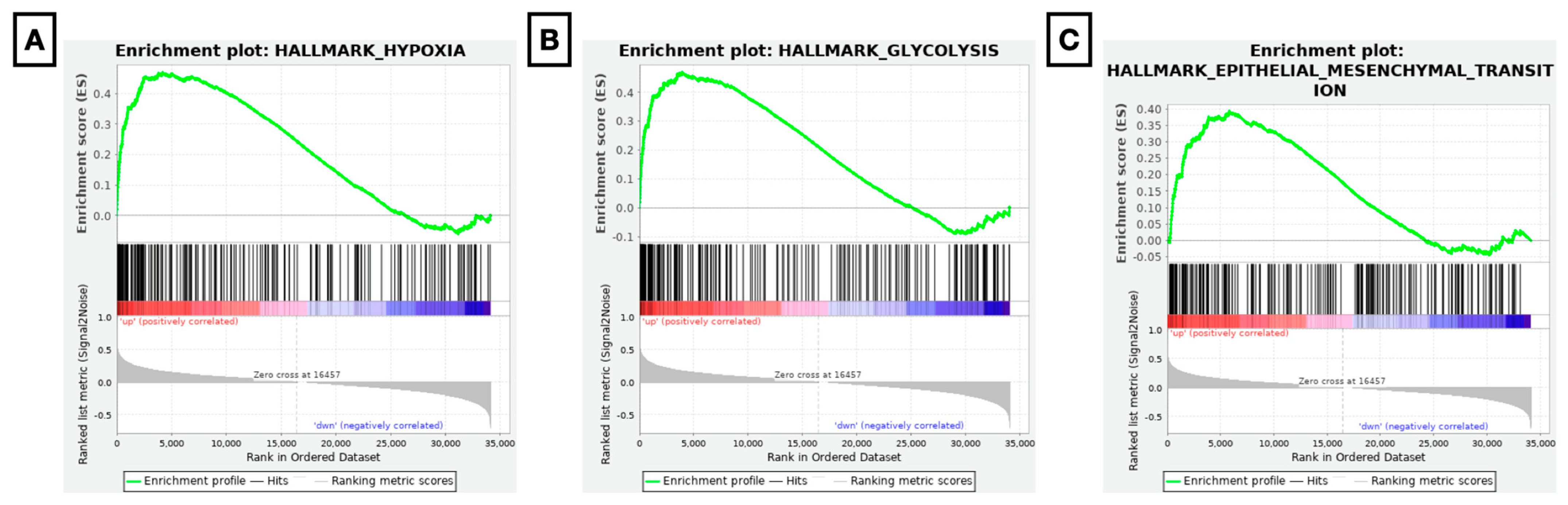 Diagnostics 13 00823 g003