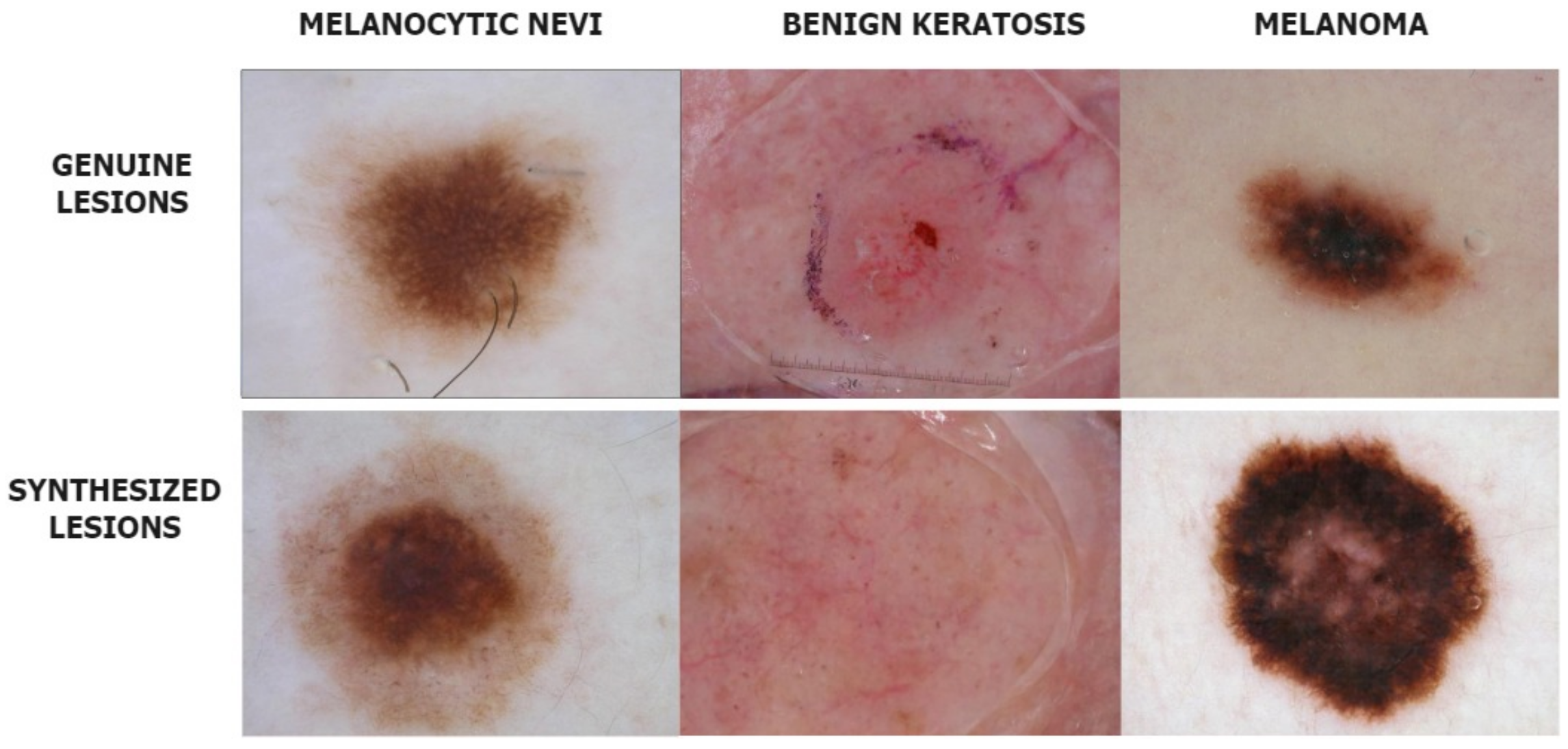 Diagnostics 13 00825 g003