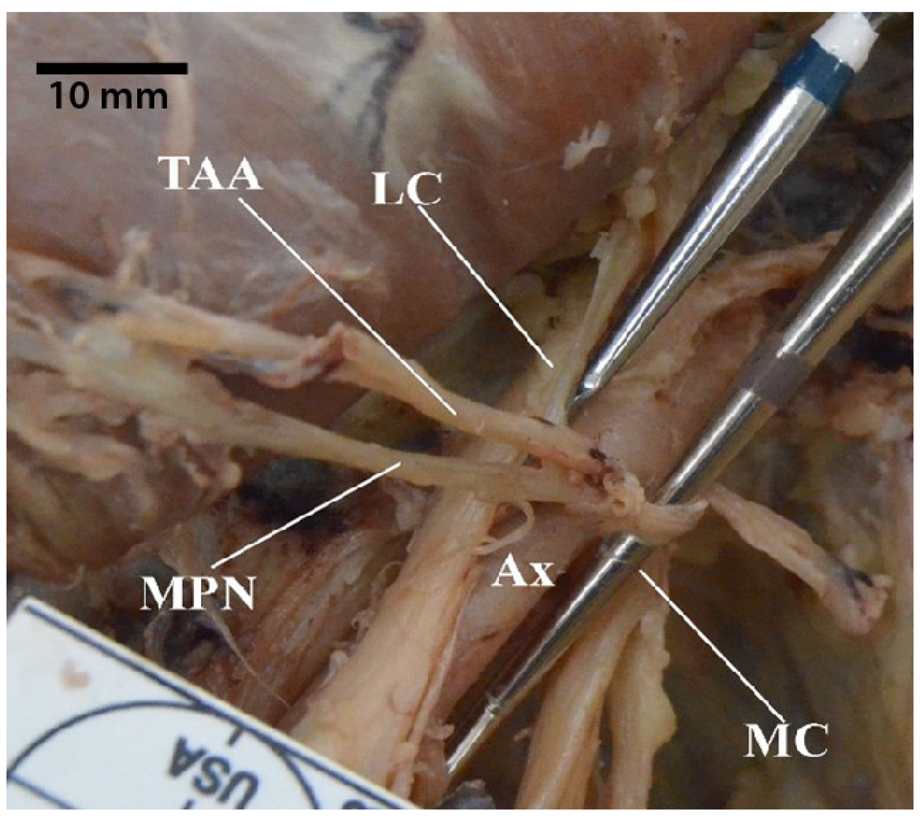Diagnostics 13 00830 g009