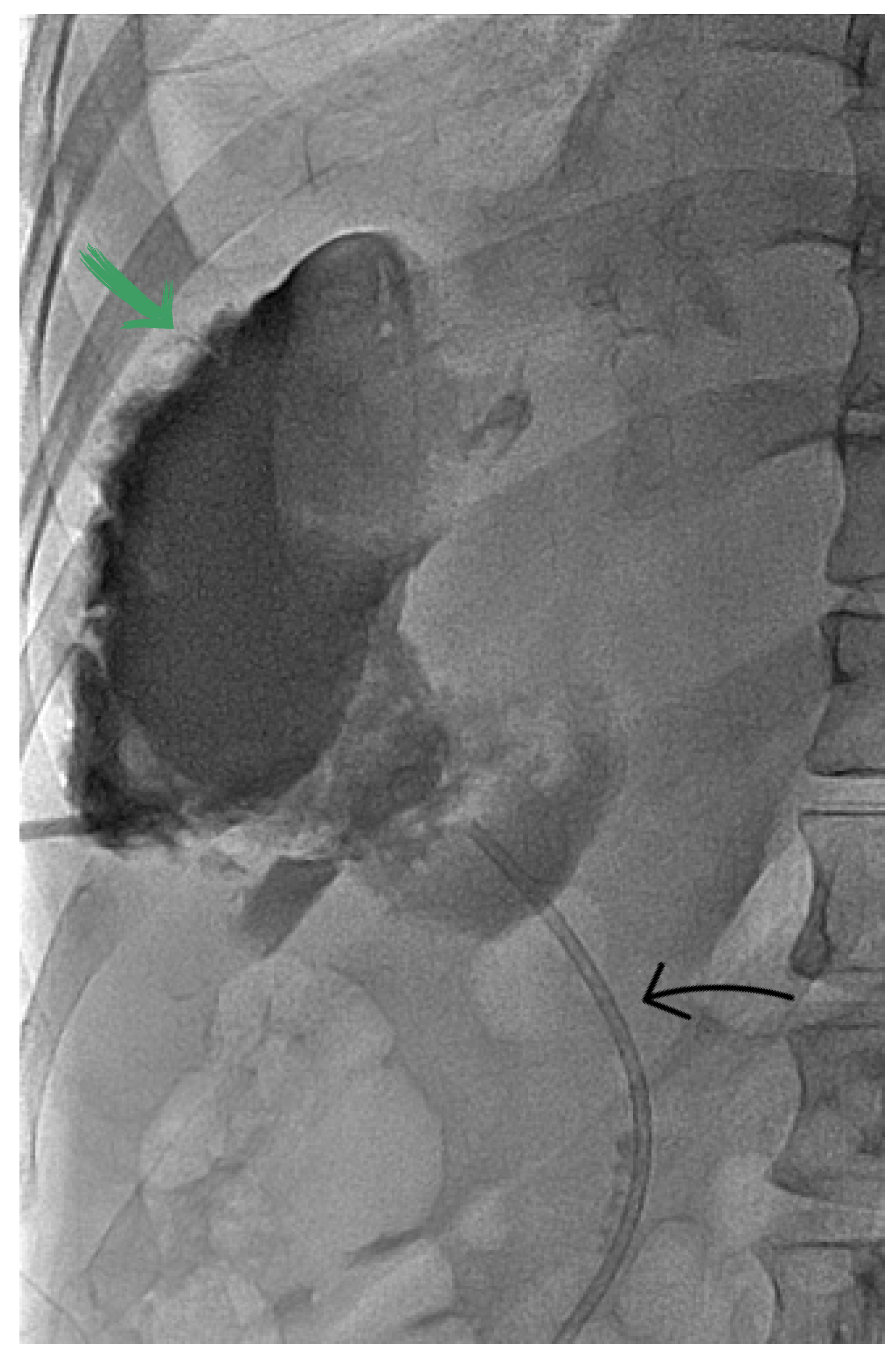 Diagnostics 13 00831 g003