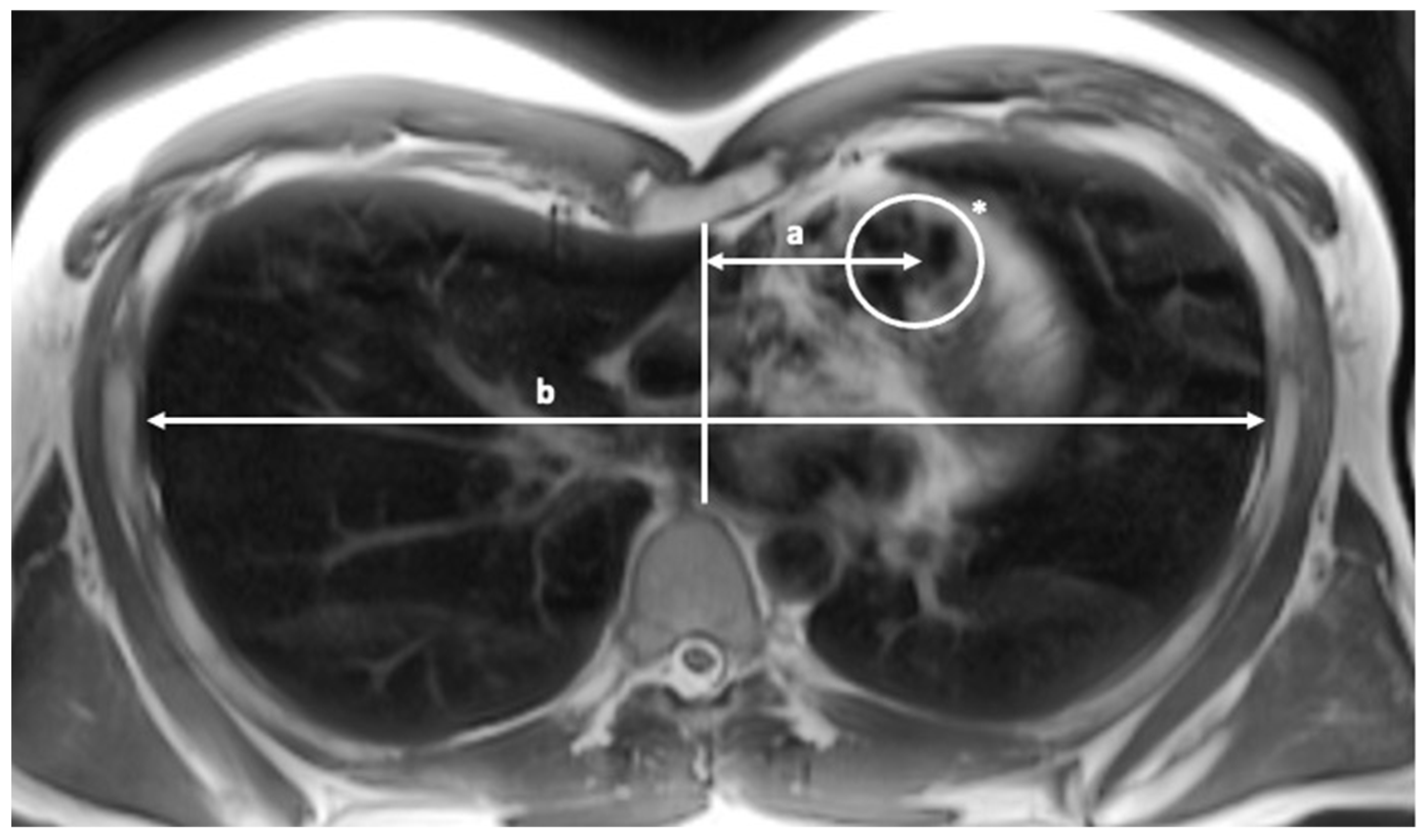 Diagnostics 13 00844 g002