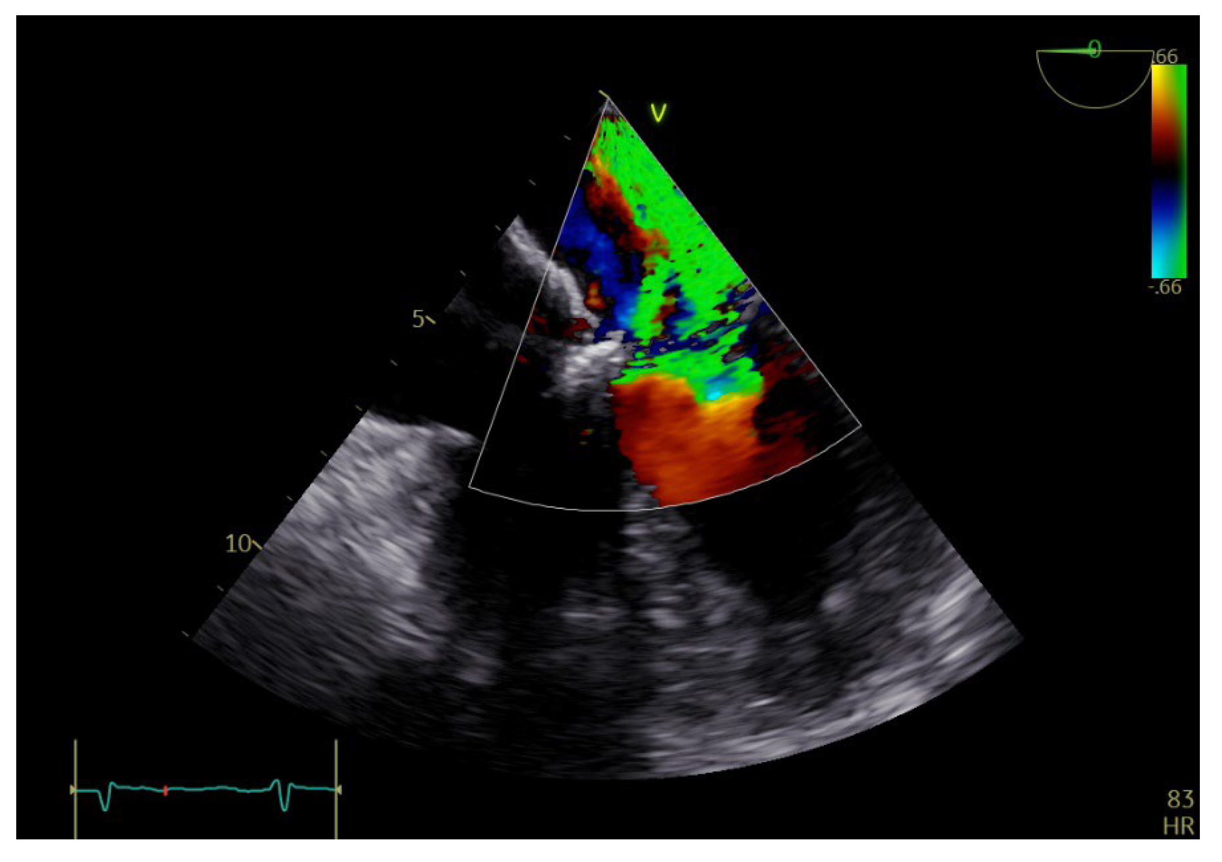 Diagnostics 13 00856 g003