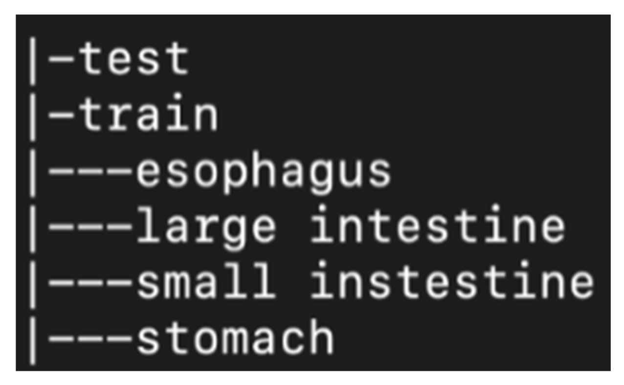 Diagnostics 13 00865 g001