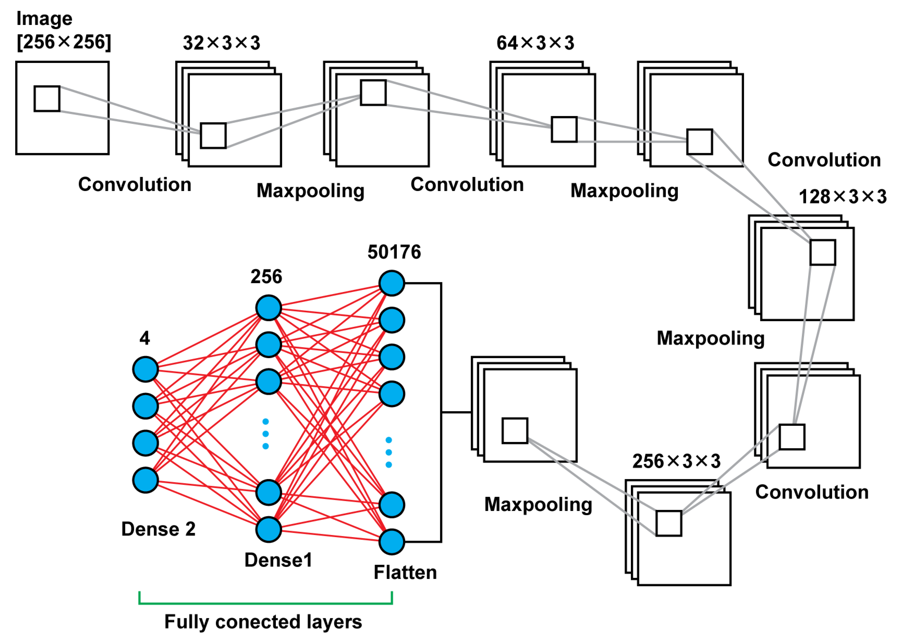 Diagnostics 13 00865 g004