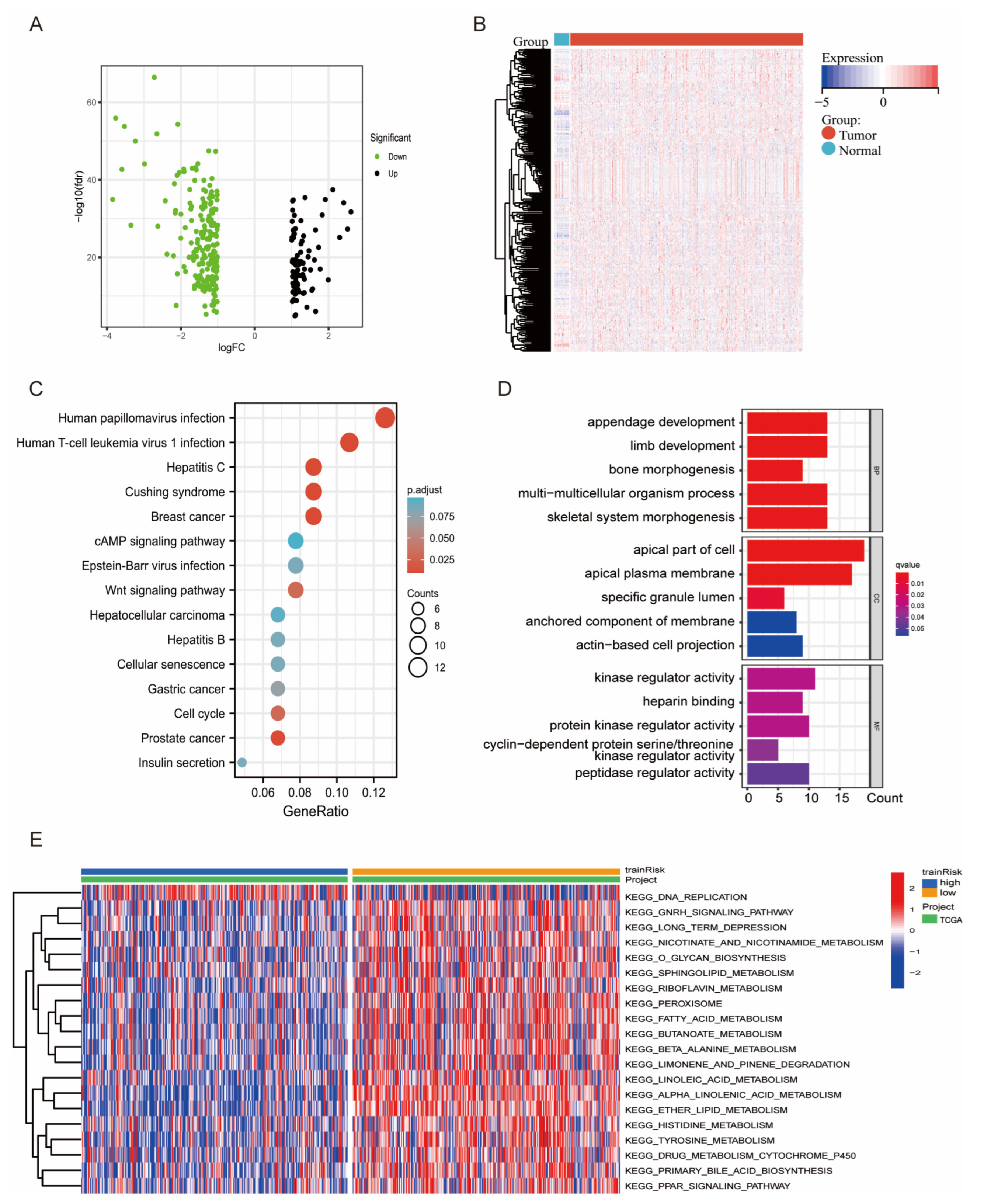 Diagnostics 13 00870 g004