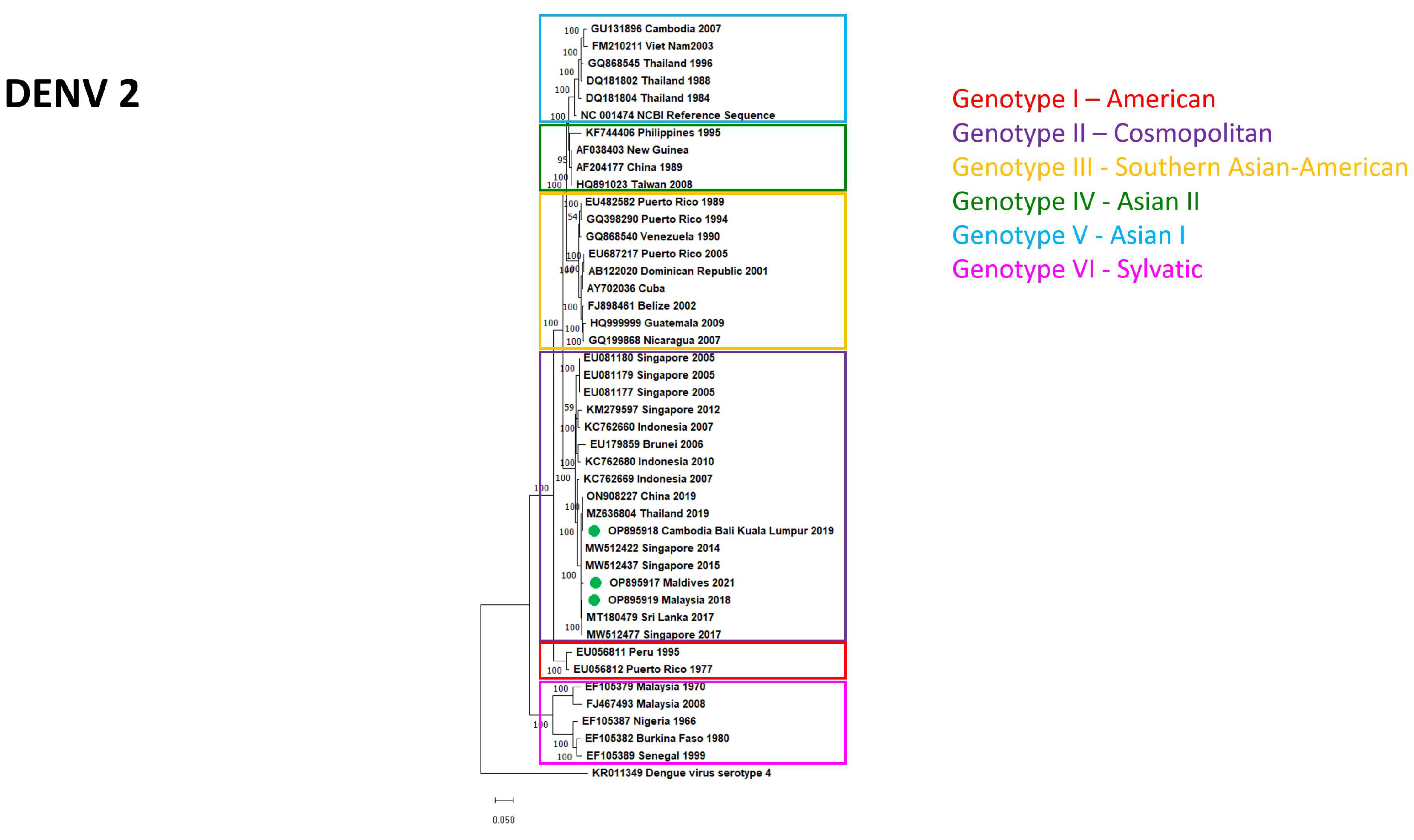Diagnostics 13 00873 g004 Diagnostics 13 00873 g004