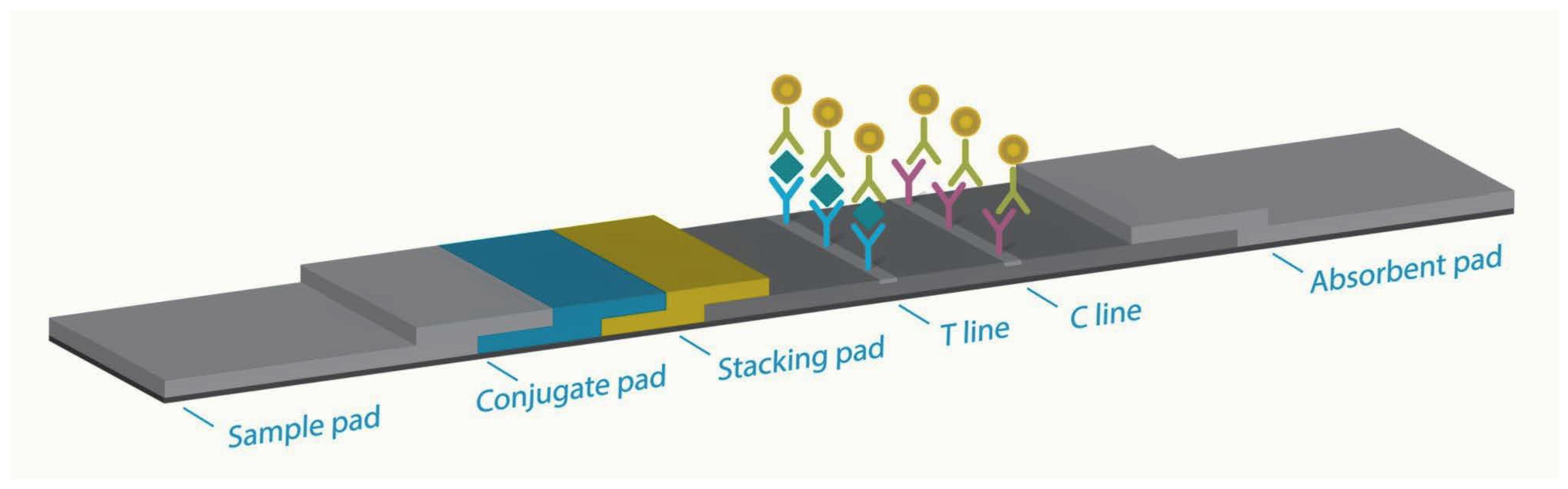 Diagnostics 13 00880 g002