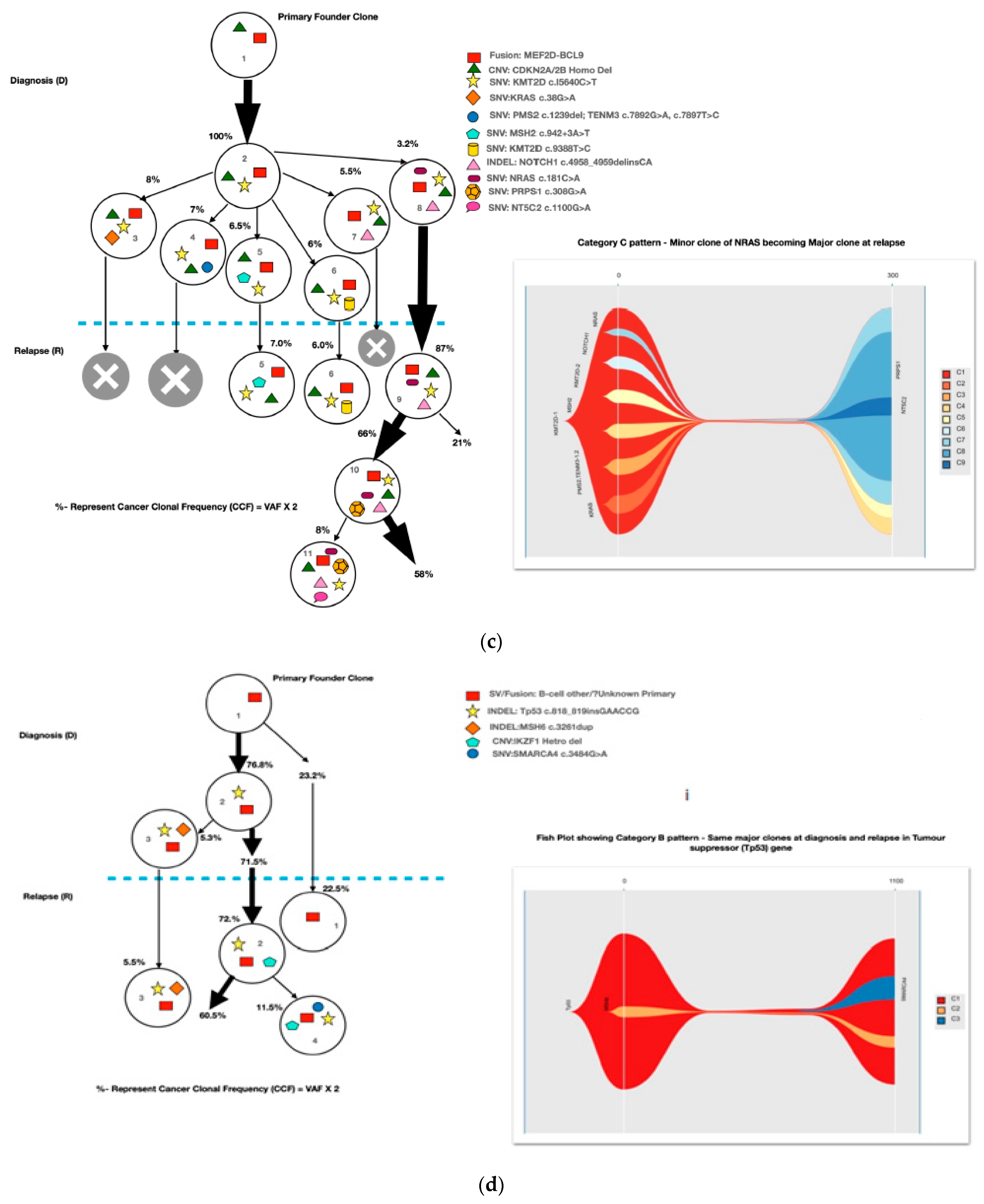 Diagnostics 13 00884 g003b Diagnostics 13 00884 g003b