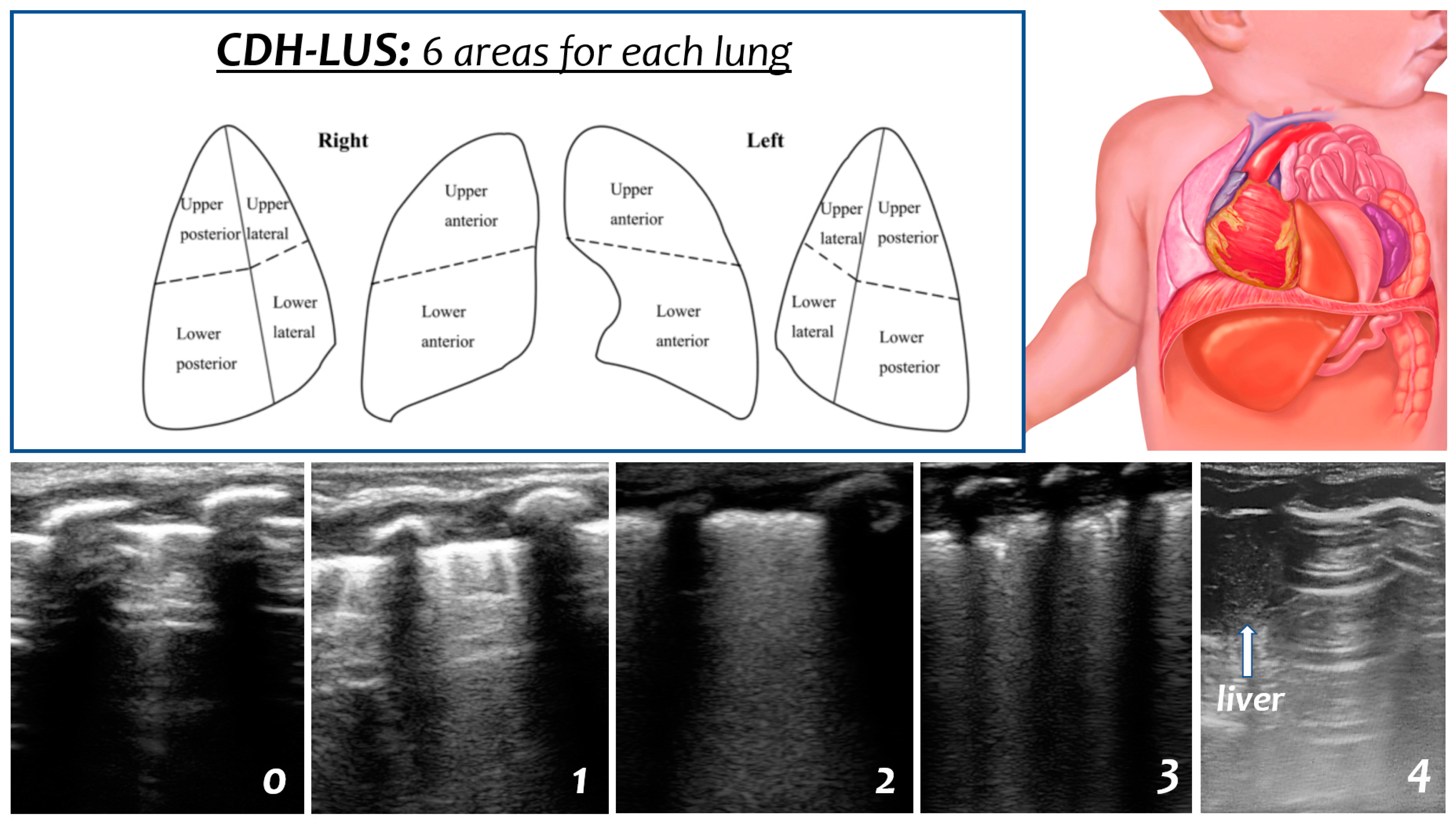 Diagnostics 13 00898 g001