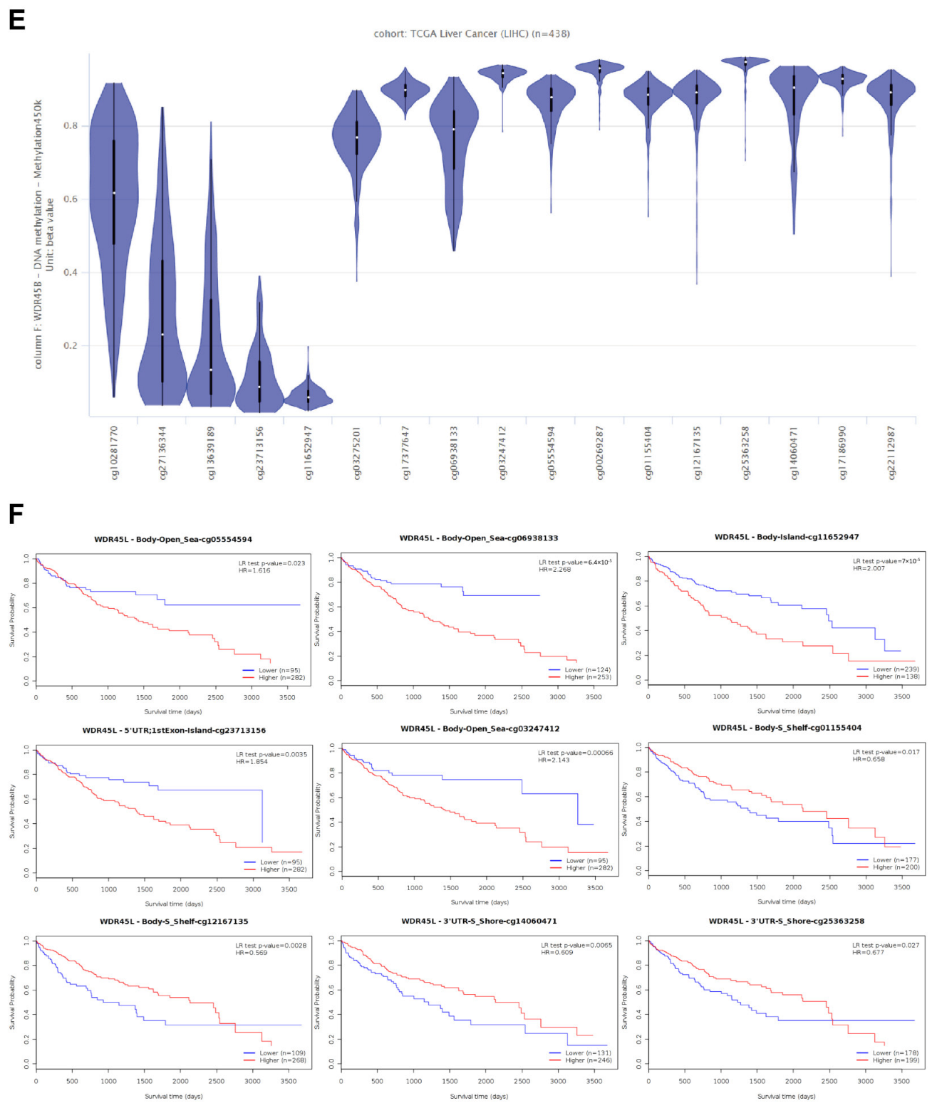 Diagnostics 13 00906 g003b