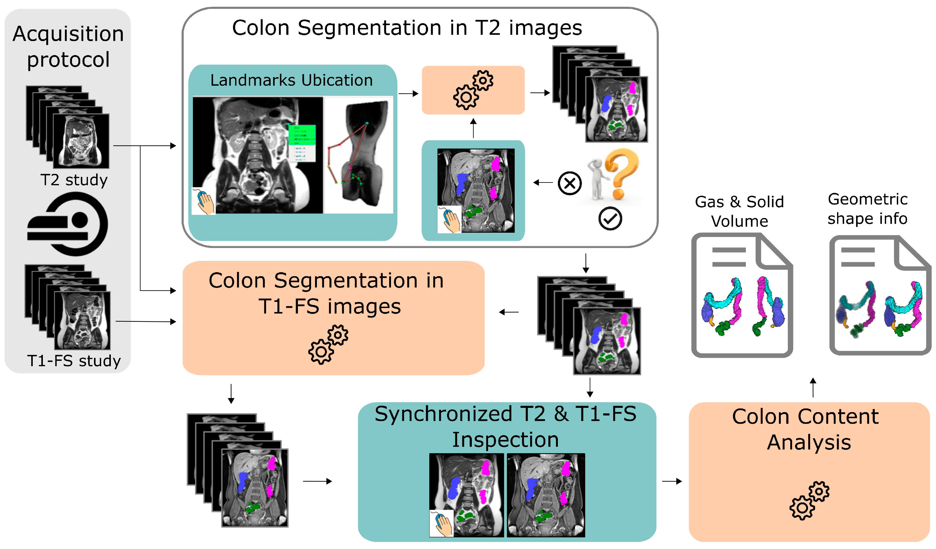Diagnostics 13 00910 g002