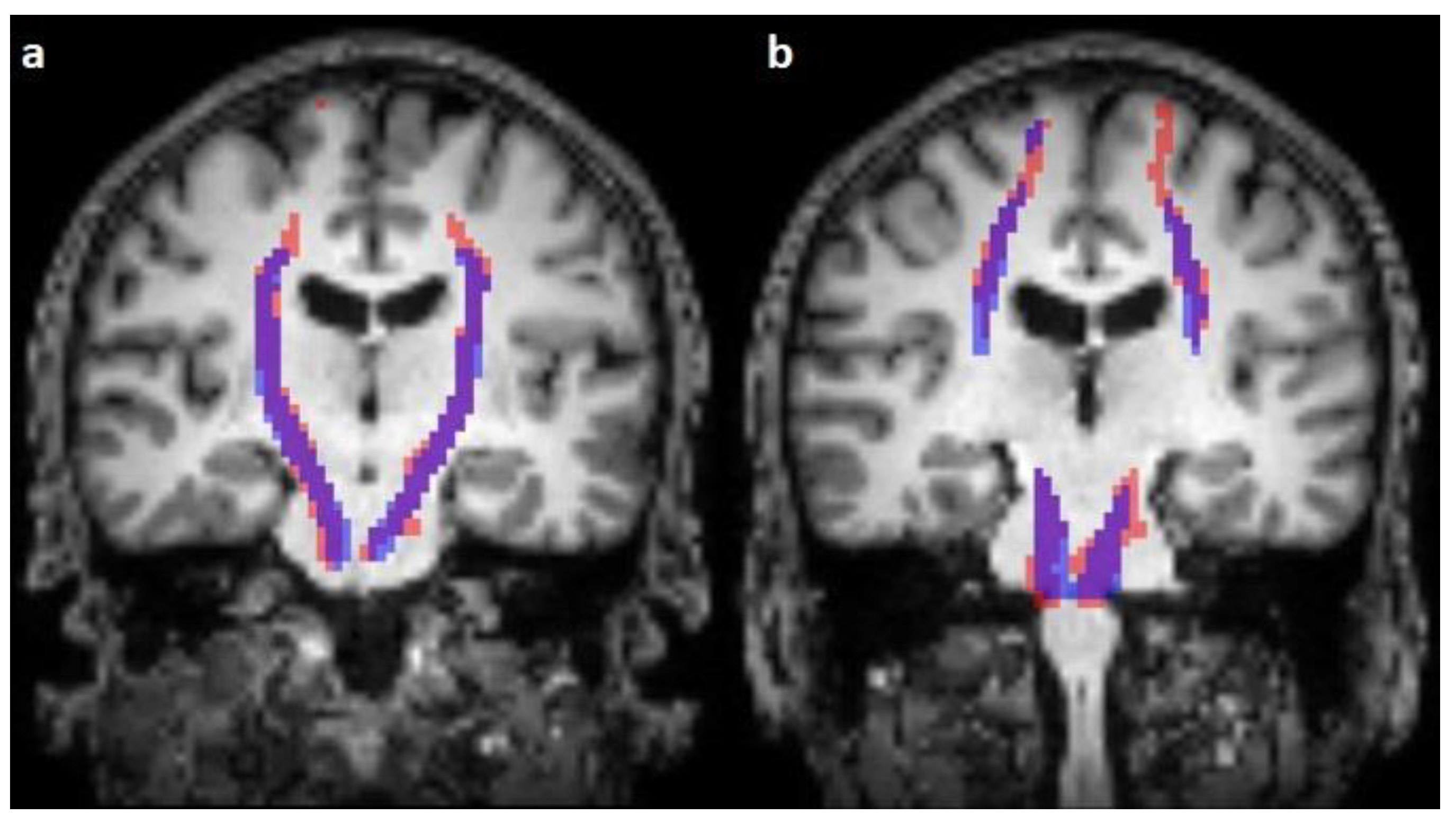 Diagnostics 13 00911 g002 Diagnostics 13 00911 g002