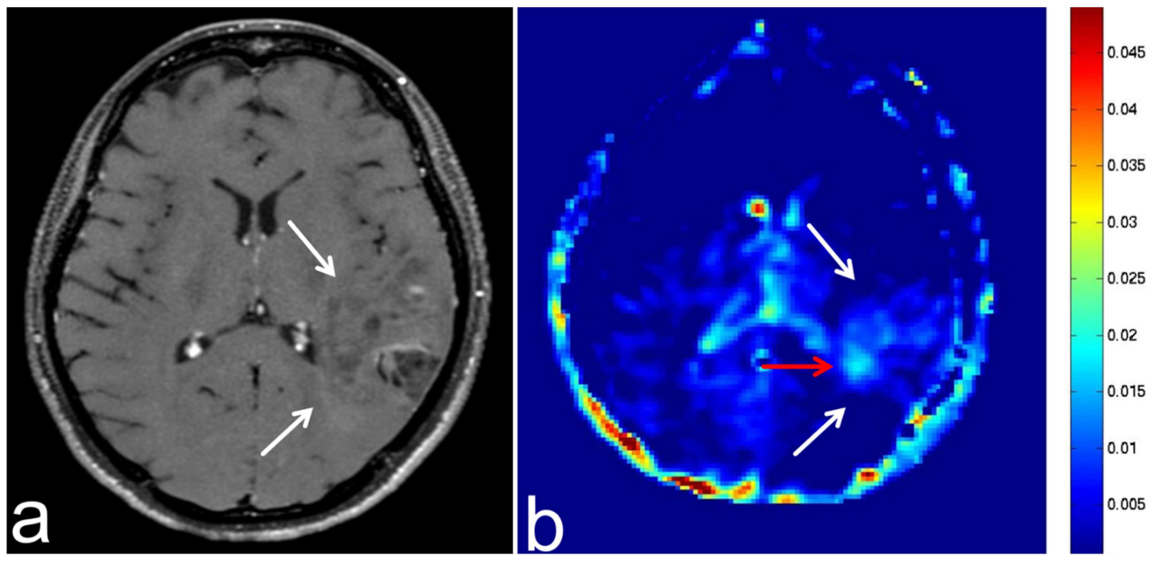 Diagnostics 13 00914 g002