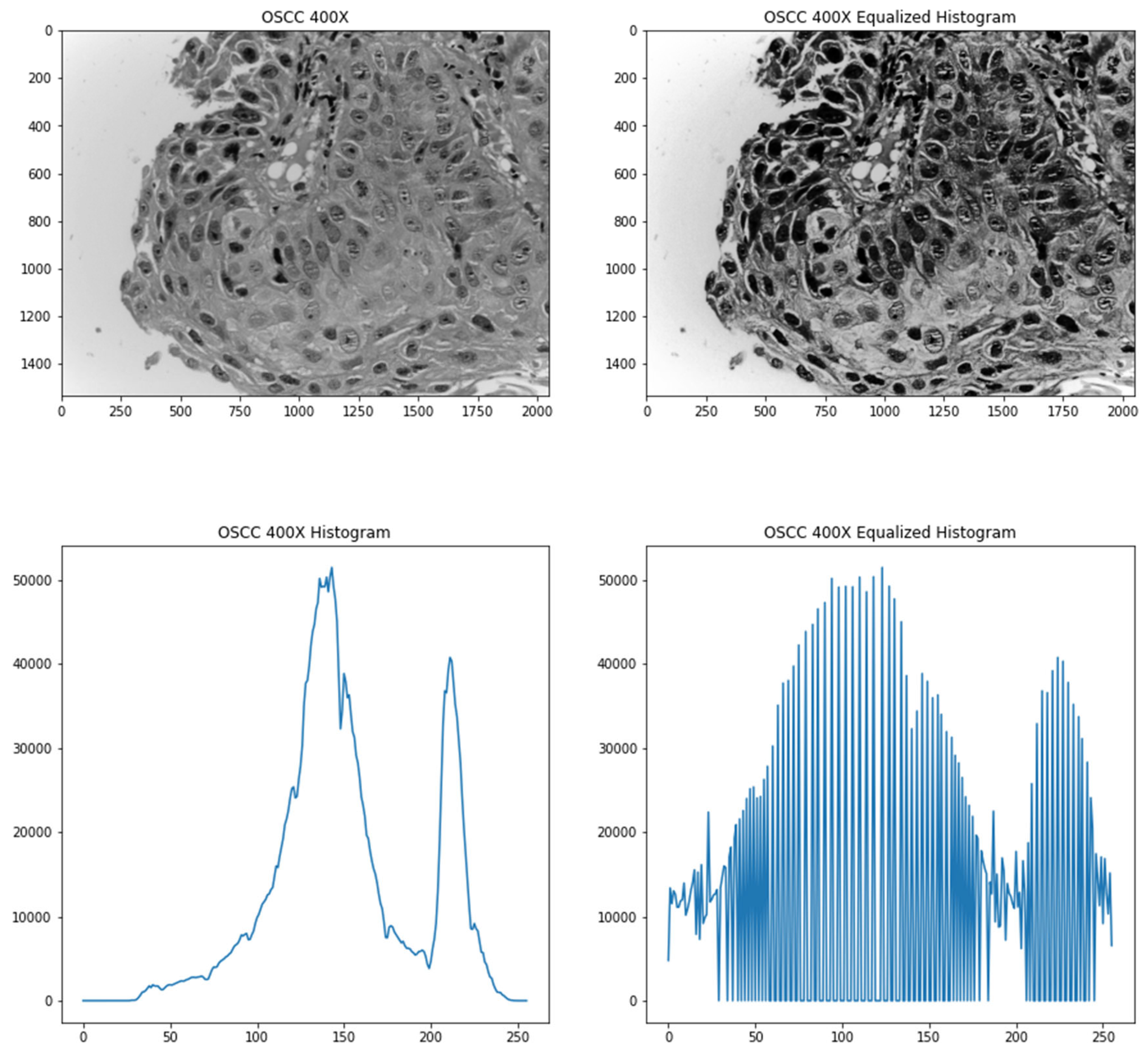 Diagnostics 13 00918 g002