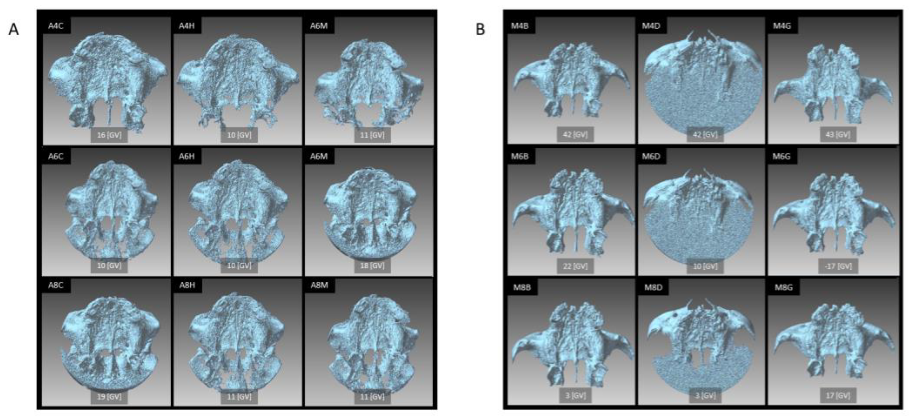 Diagnostics 13 00921 g003 Diagnostics 13 00921 g003