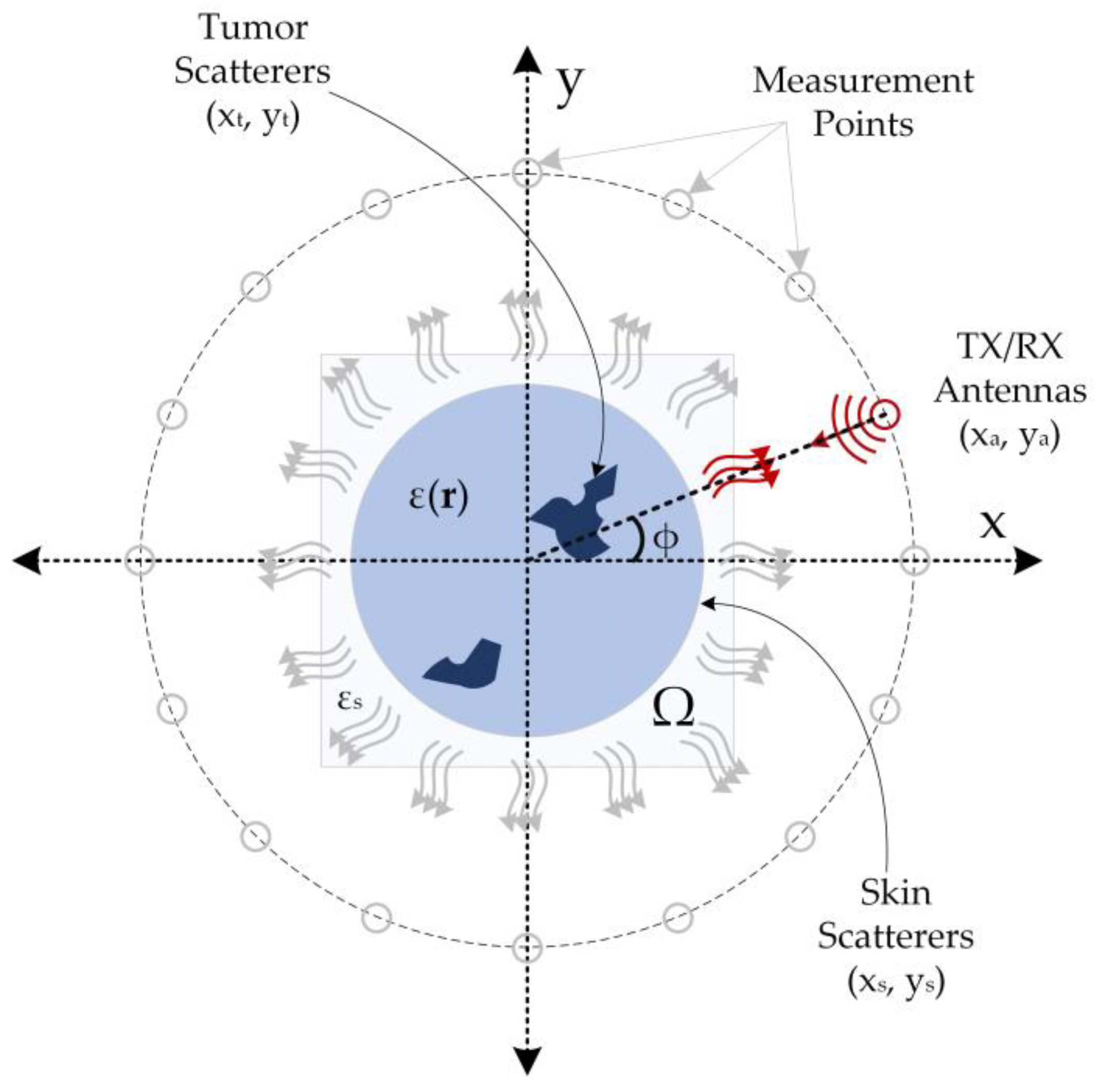 Diagnostics 13 00930 g001 Diagnostics 13 00930 g001