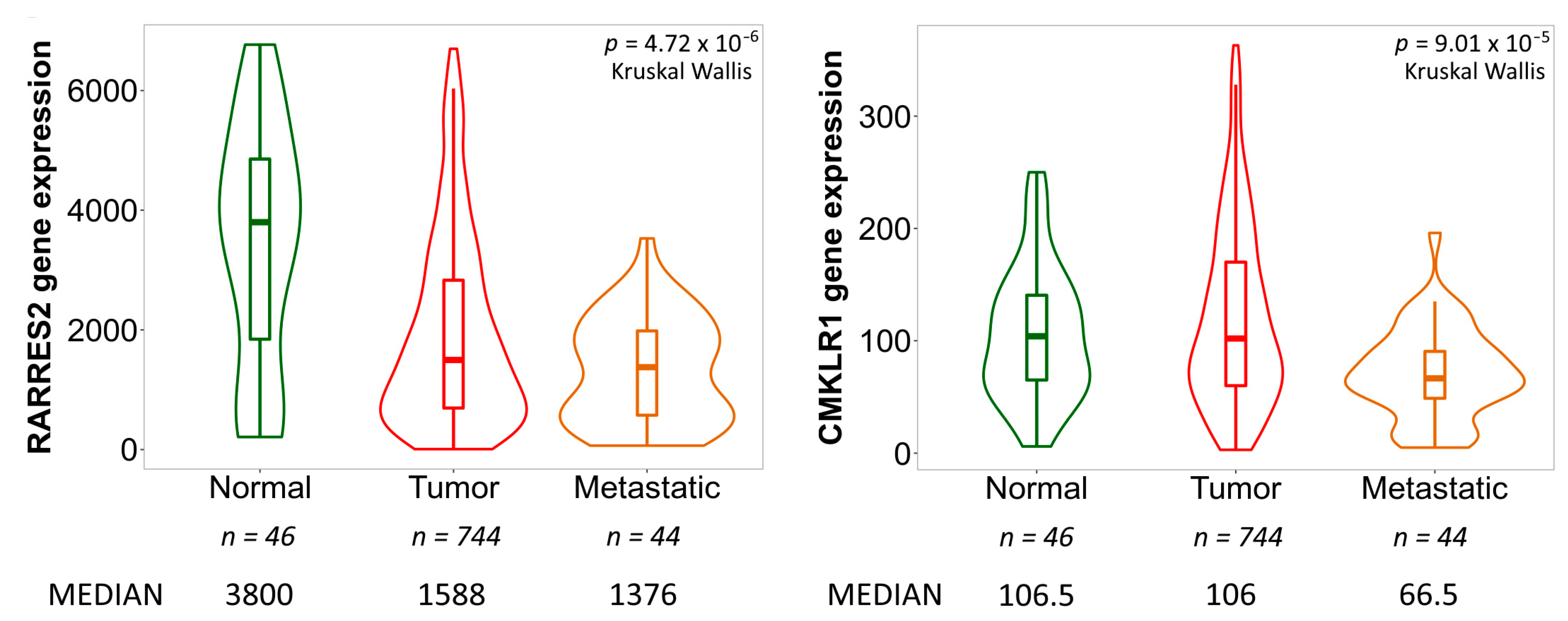 Diagnostics 13 00944 g002