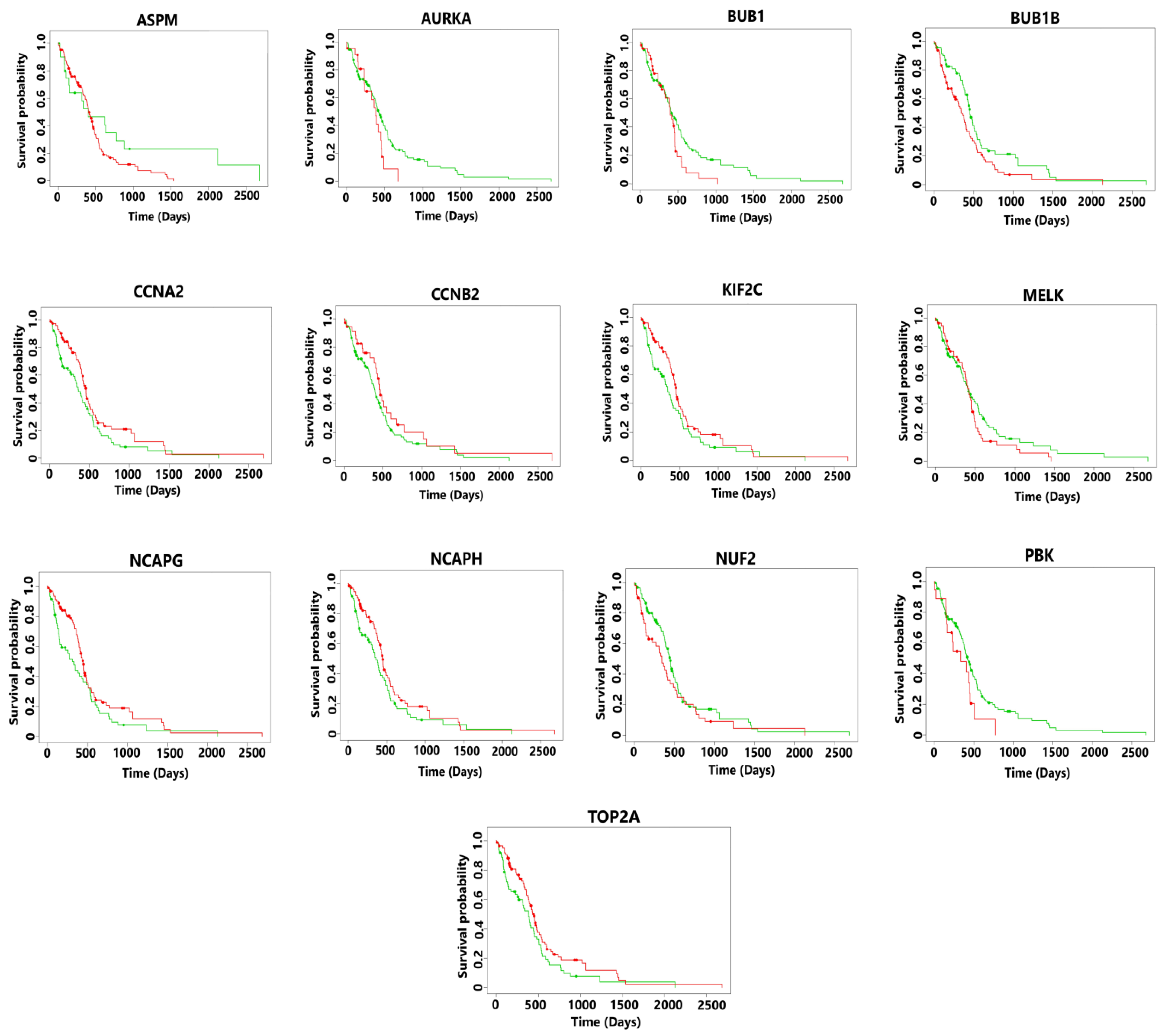 Diagnostics 13 00965 g004