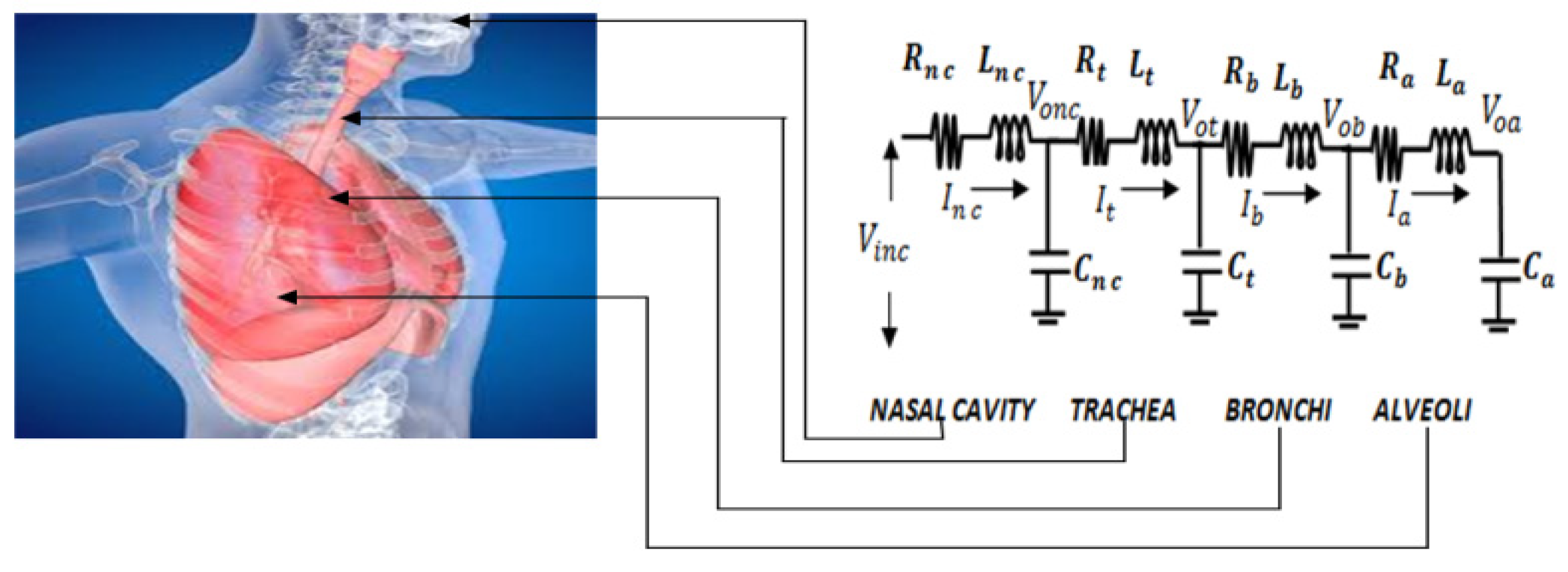Diagnostics 13 00967 g004