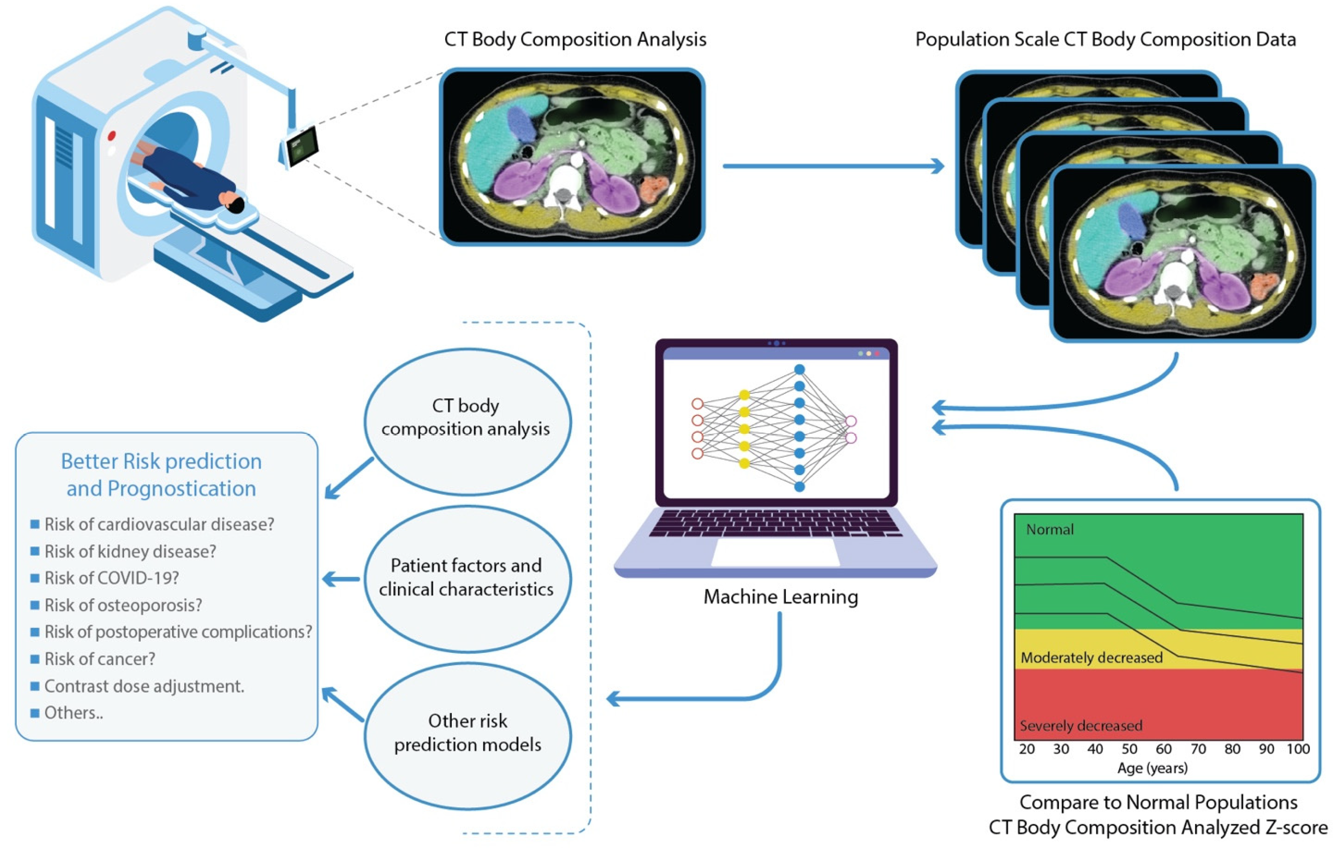 Diagnostics Free Full-Text Role of Machine Learning-Based CT Body Composition in Risk Prediction and Prognostication Current State and Future Directions