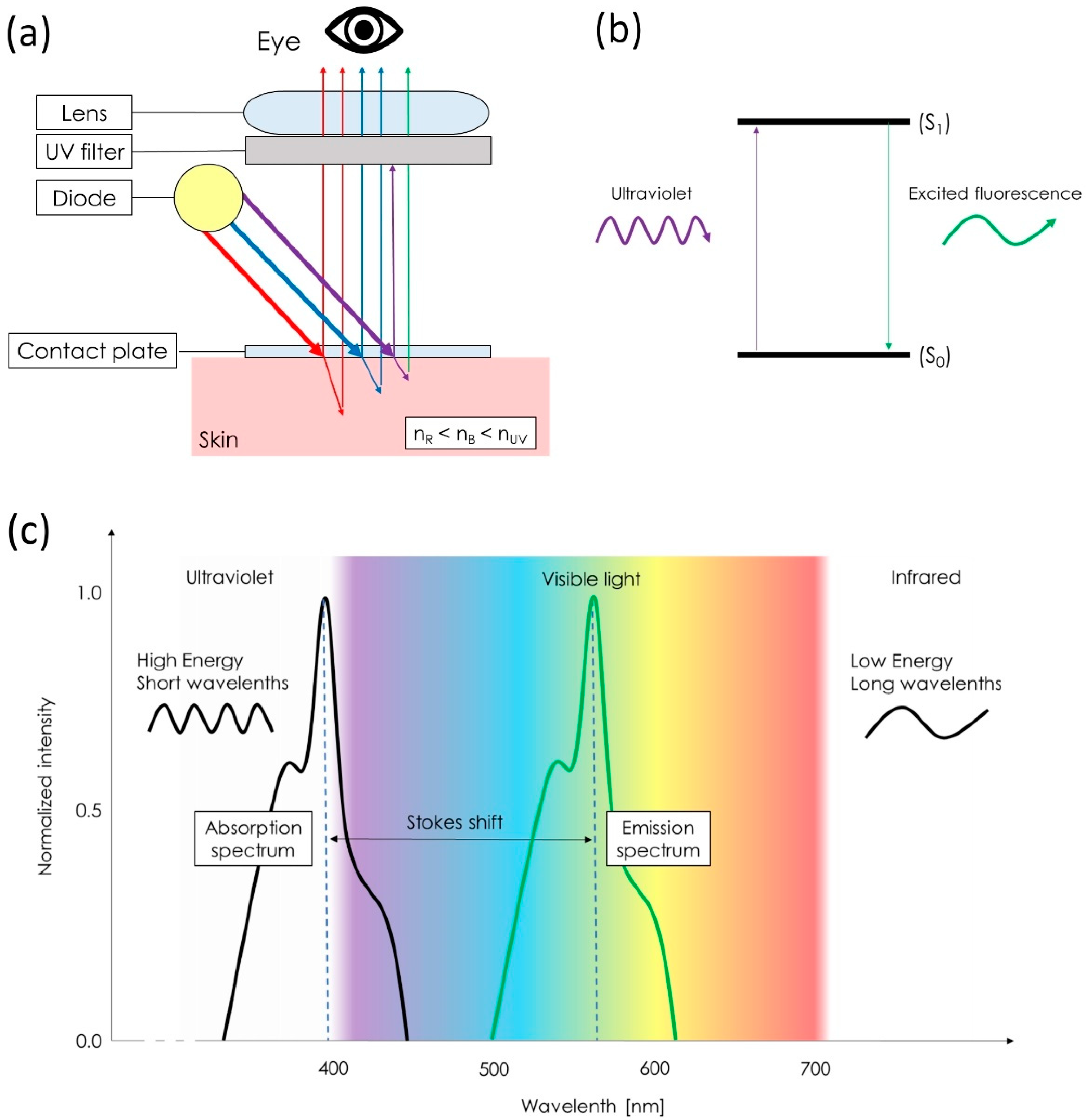 Diagnostics 13 00985 g001 Diagnostics 13 00985 g001