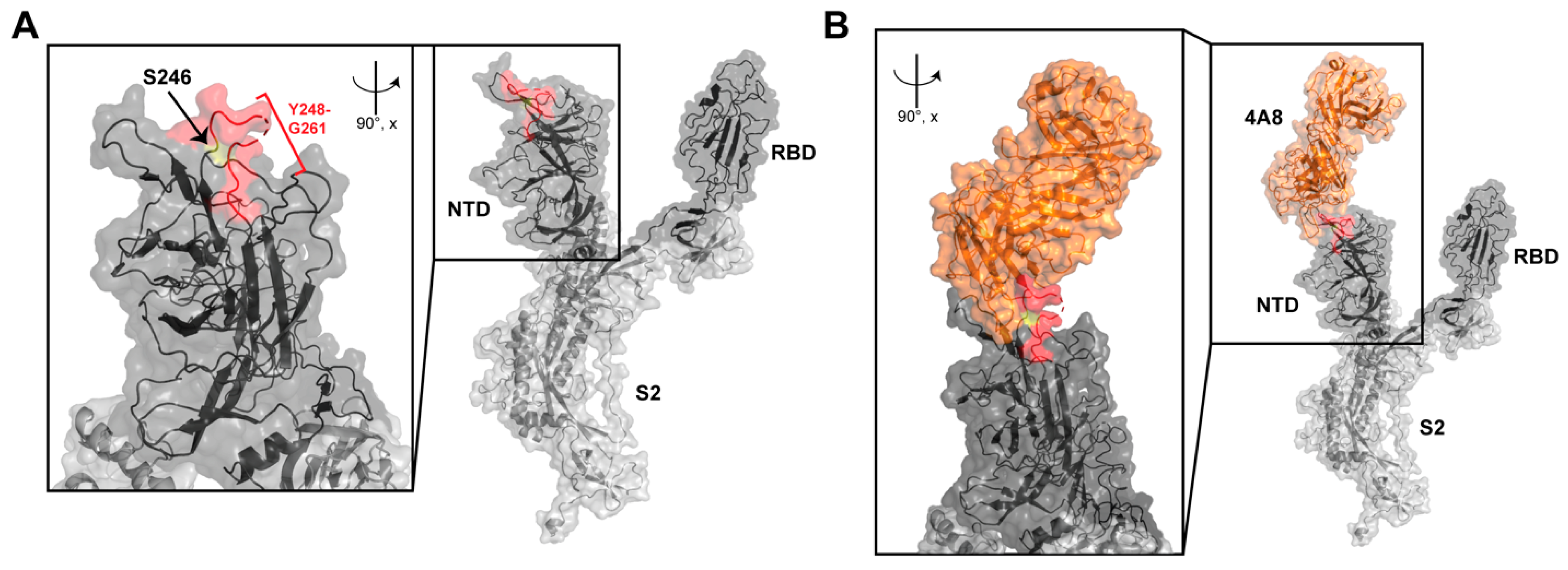 Diagnostics 13 01000 g003 Diagnostics 13 01000 g003
