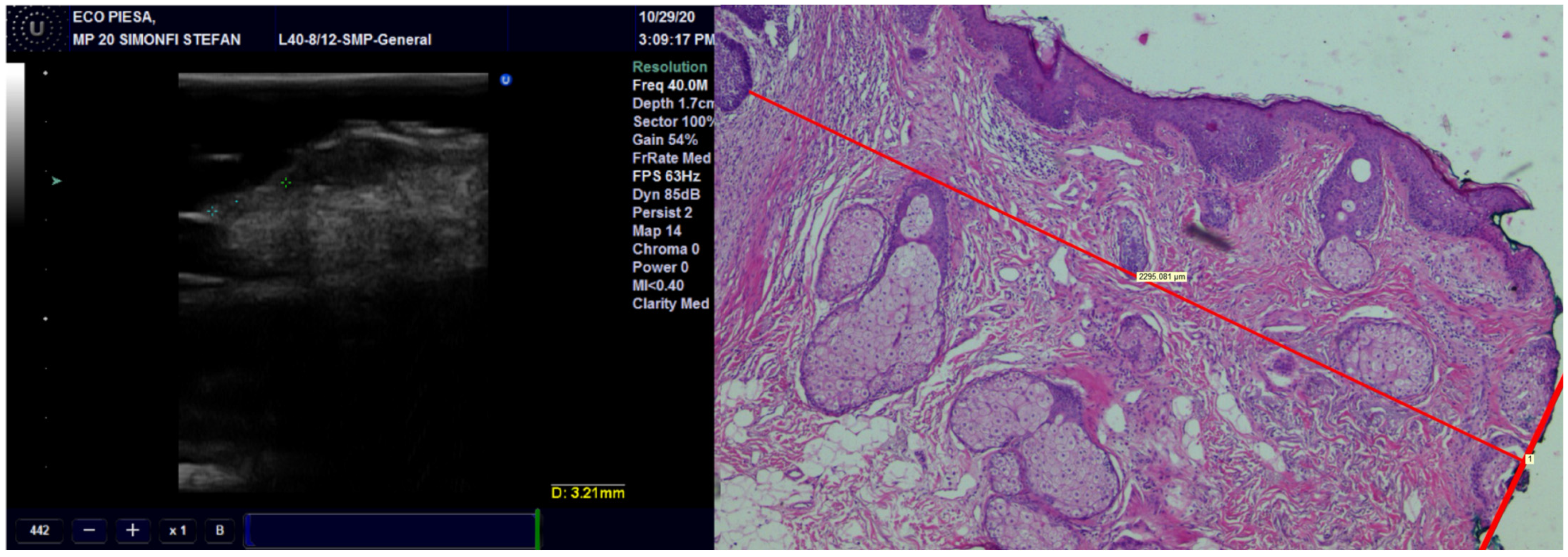 Diagnostics 13 01002 g008