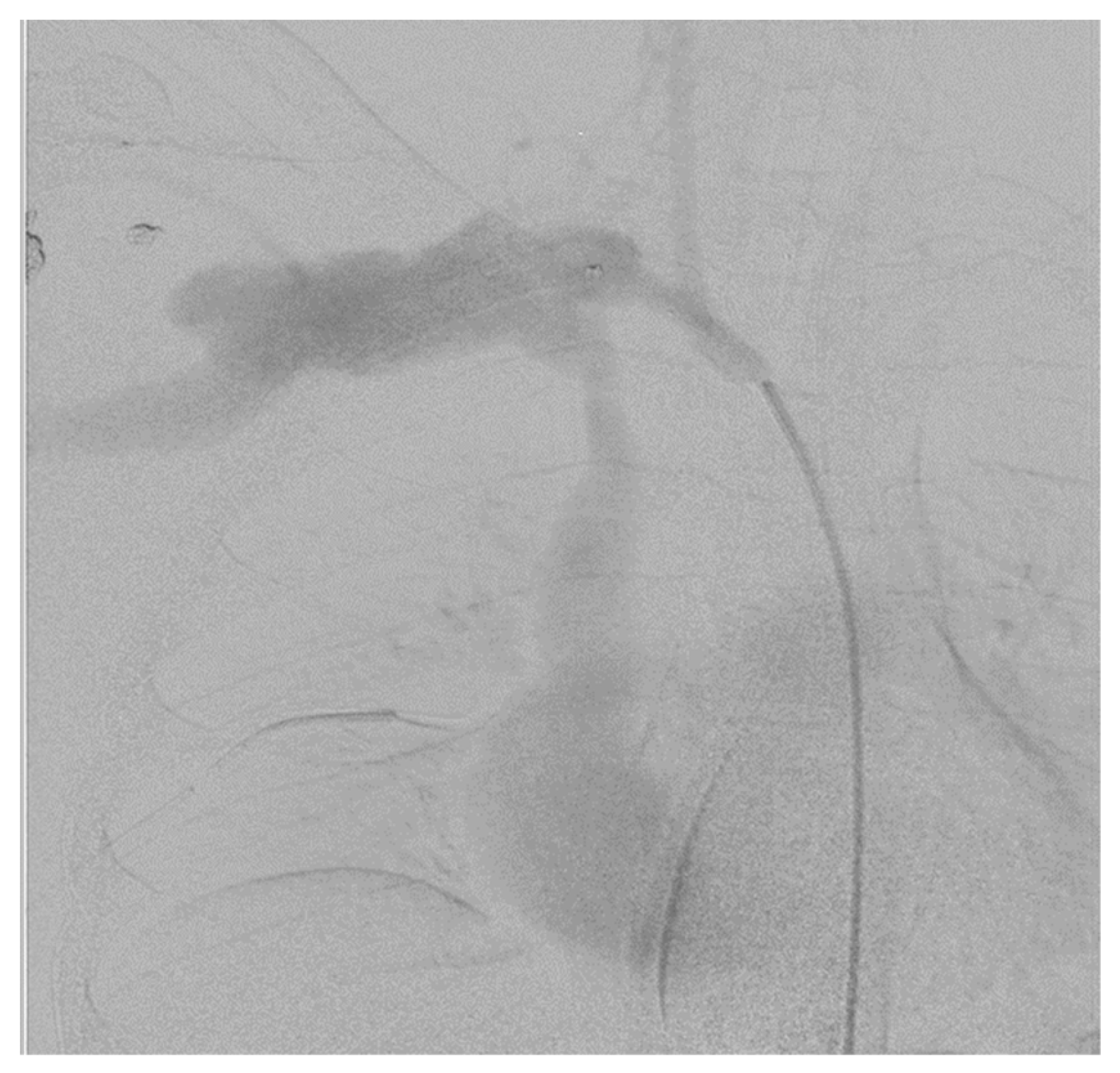 Diagnostics 13 01019 g002