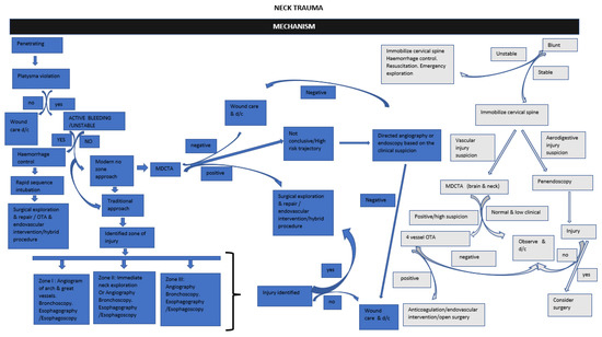 Diagnostic Approaches to Vascular Injury in Polytrauma—A Literature Review