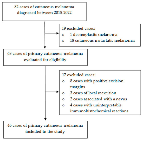 The Importance of Immunohistochemistry in the Evaluation of Tumor Depth ...