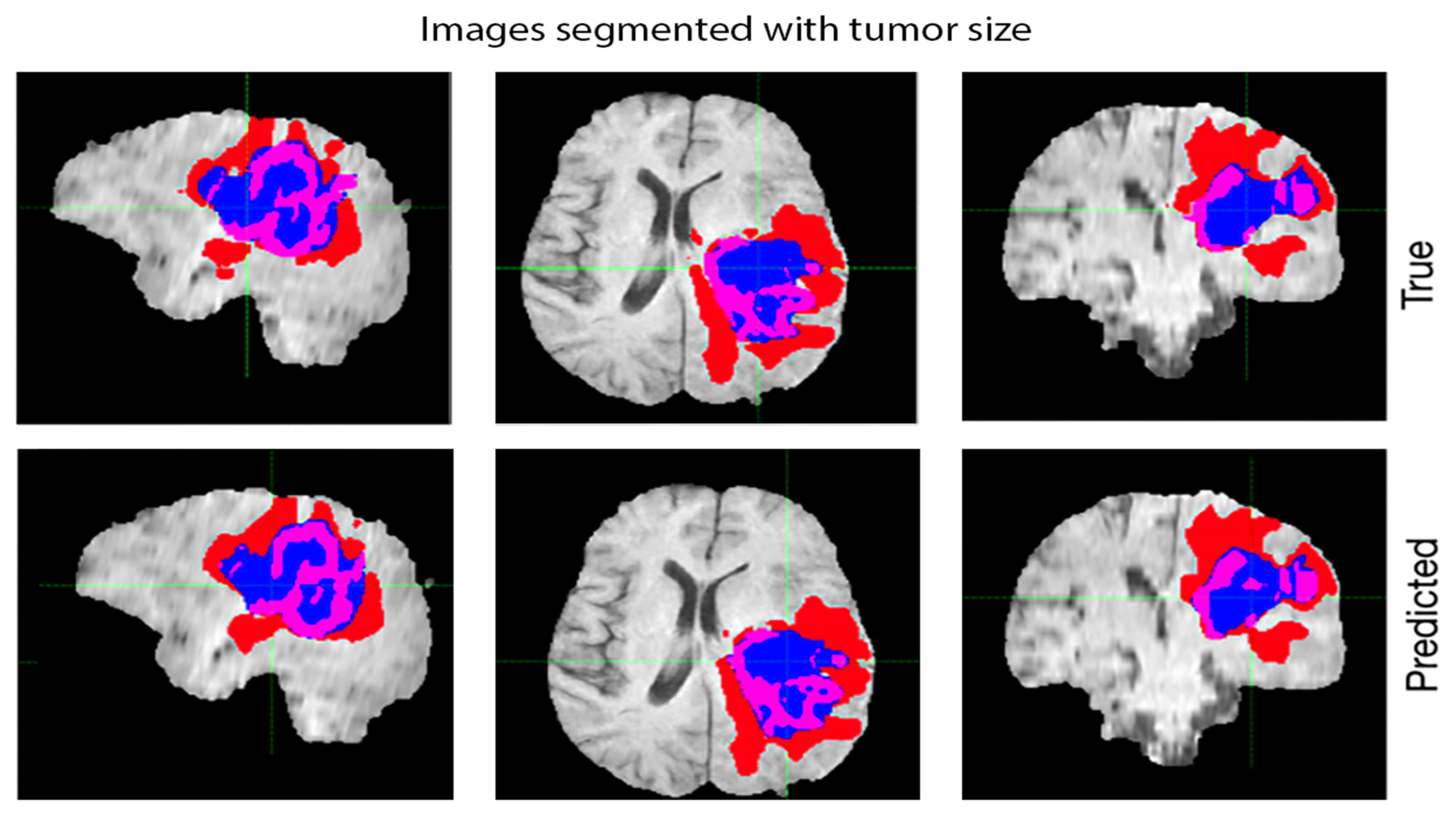 Diagnostics 13 01025 g007 Diagnostics 13 01025 g007