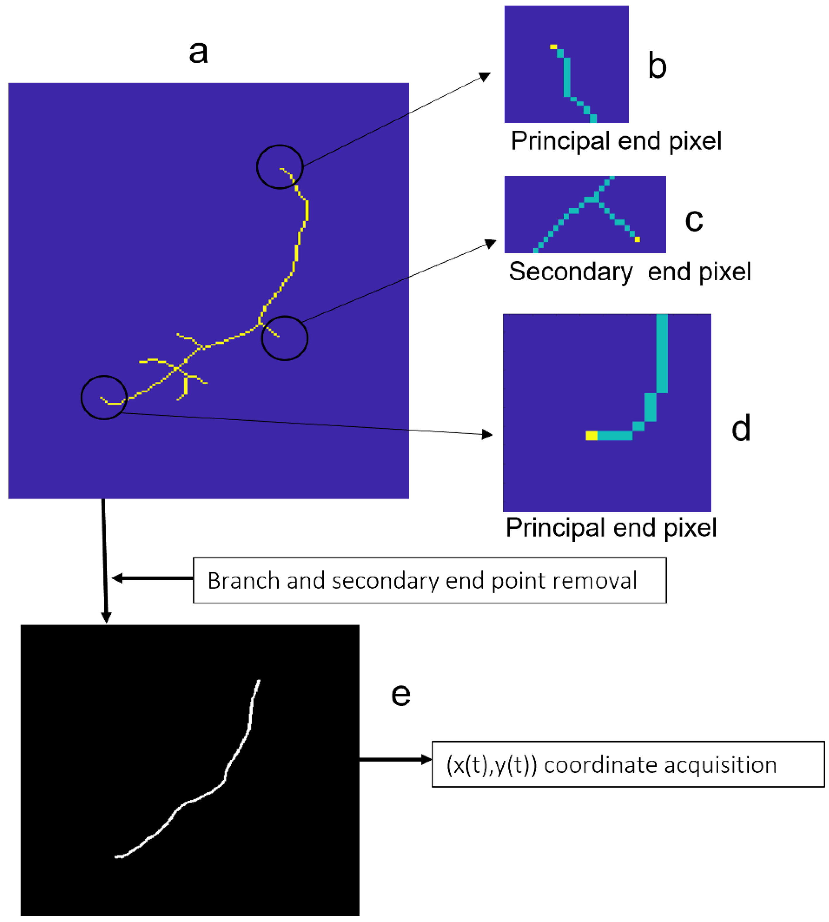 Diagnostics 13 01030 g005 Diagnostics 13 01030 g005