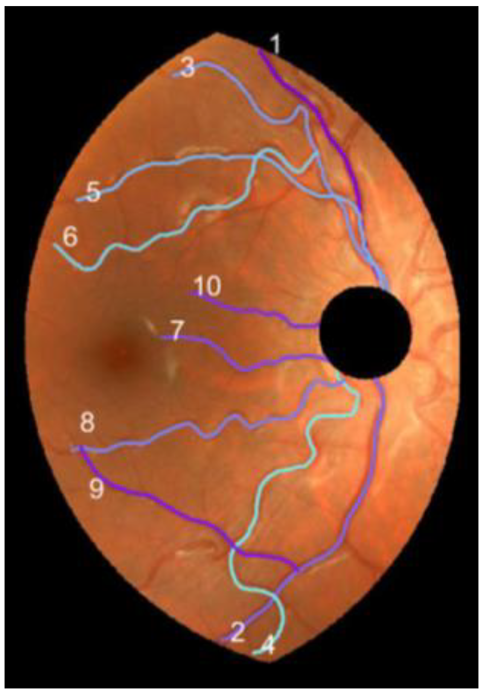 Diagnostics 13 01030 g006 Diagnostics 13 01030 g006