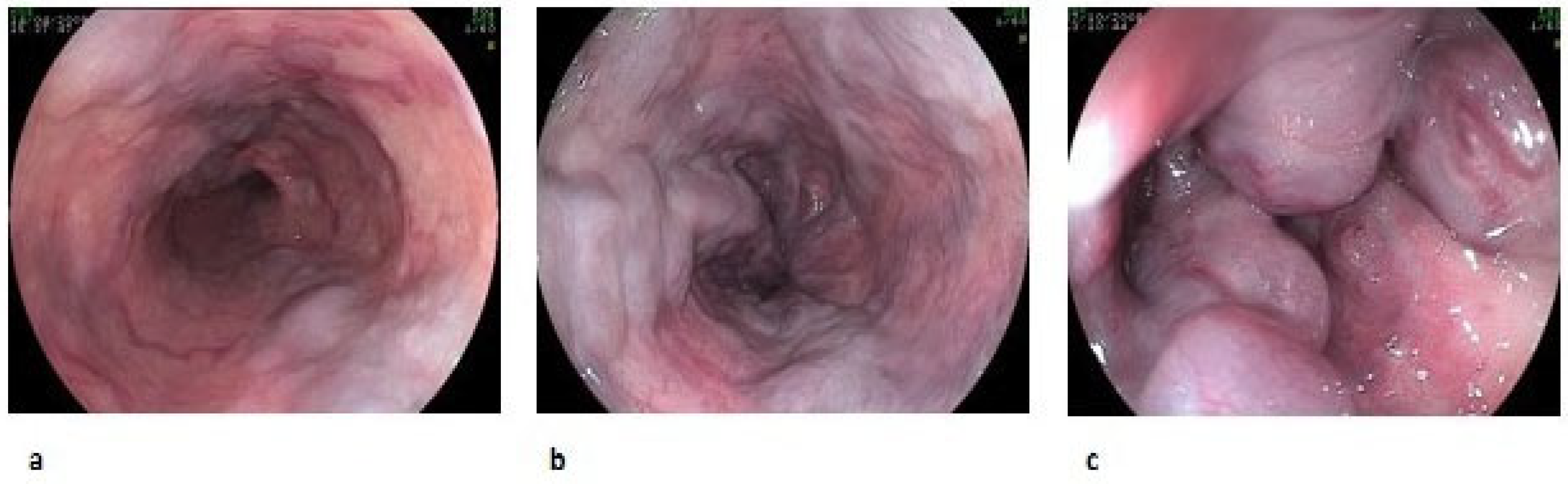 Diagnostics 13 01031 g001 Diagnostics 13 01031 g001