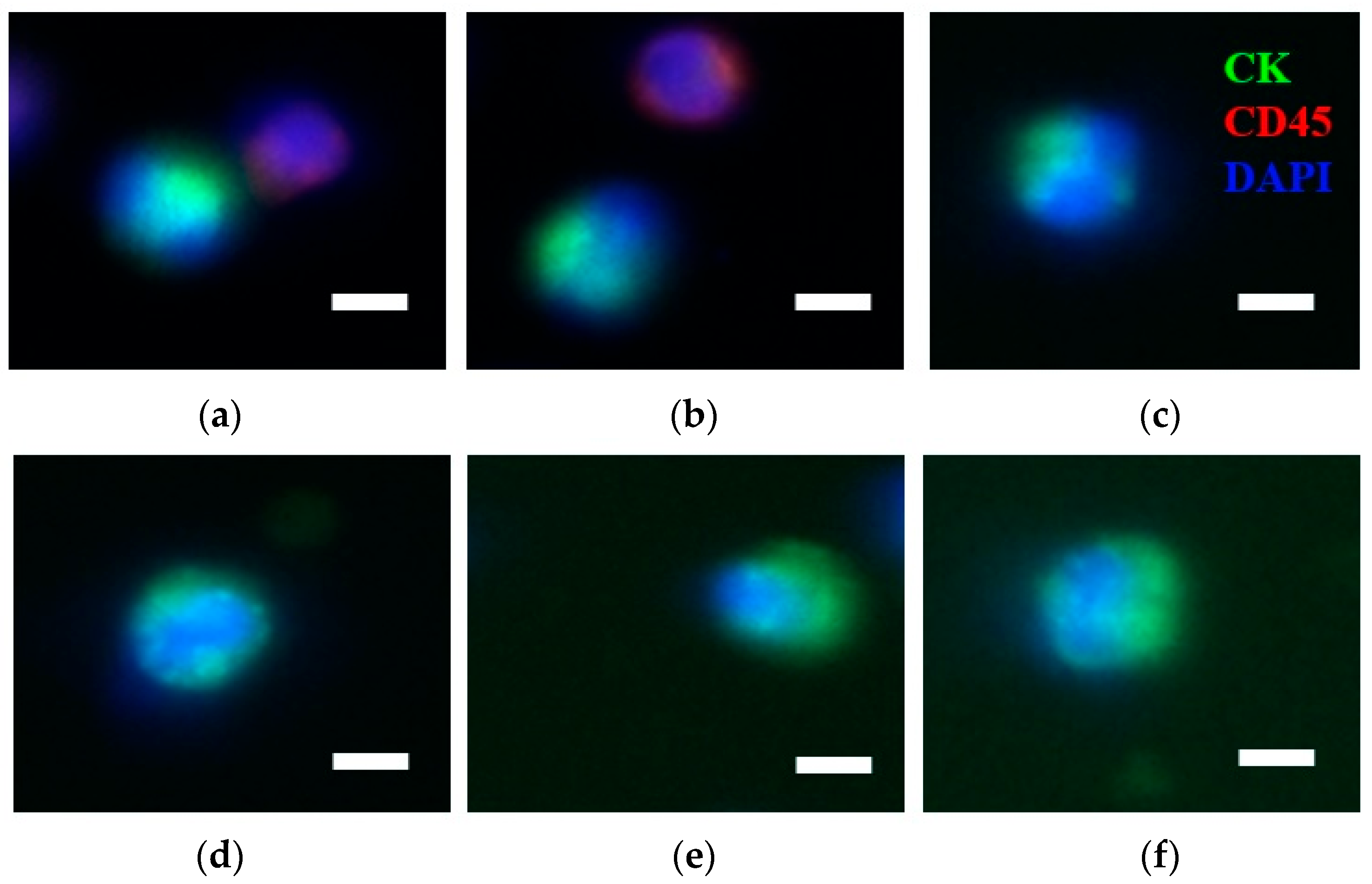 Diagnostics 13 01032 g001