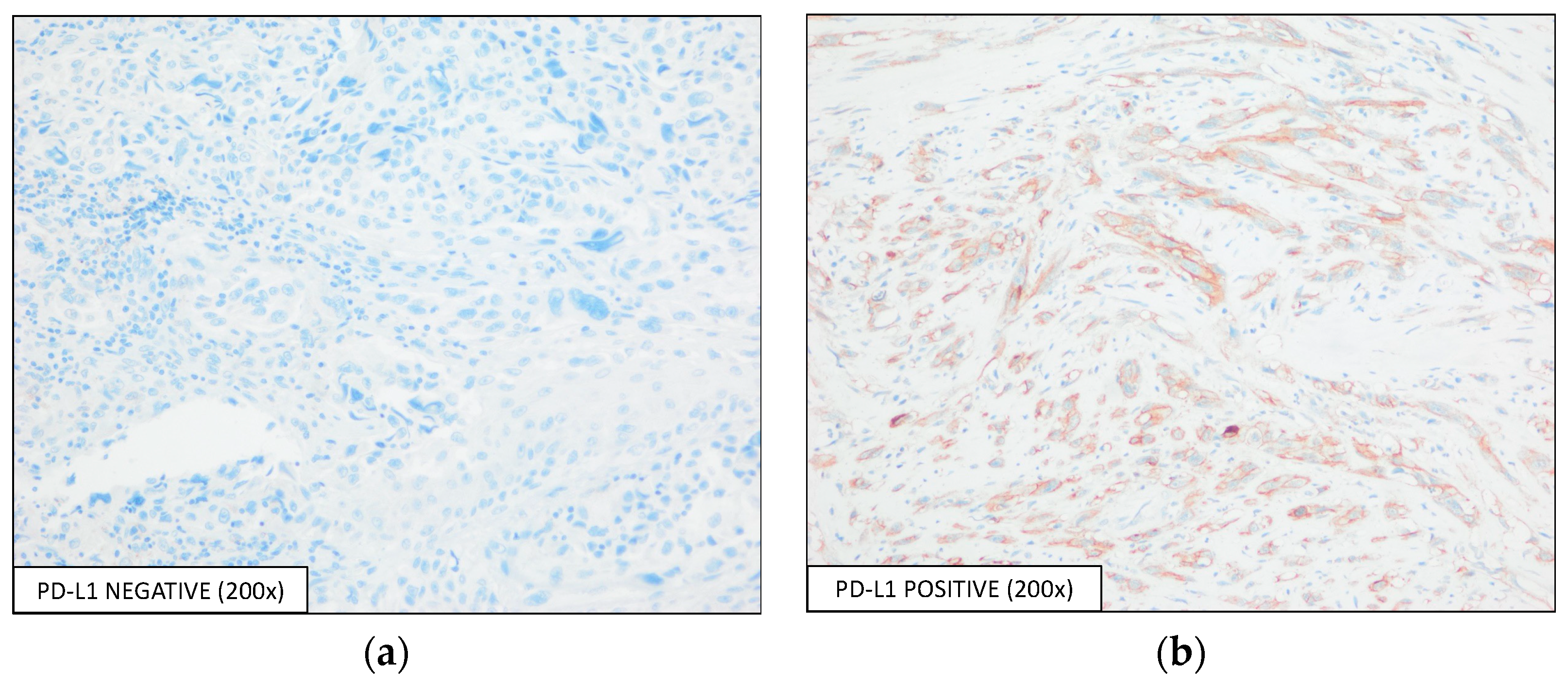 Diagnostics 13 01041 g002 Diagnostics 13 01041 g002