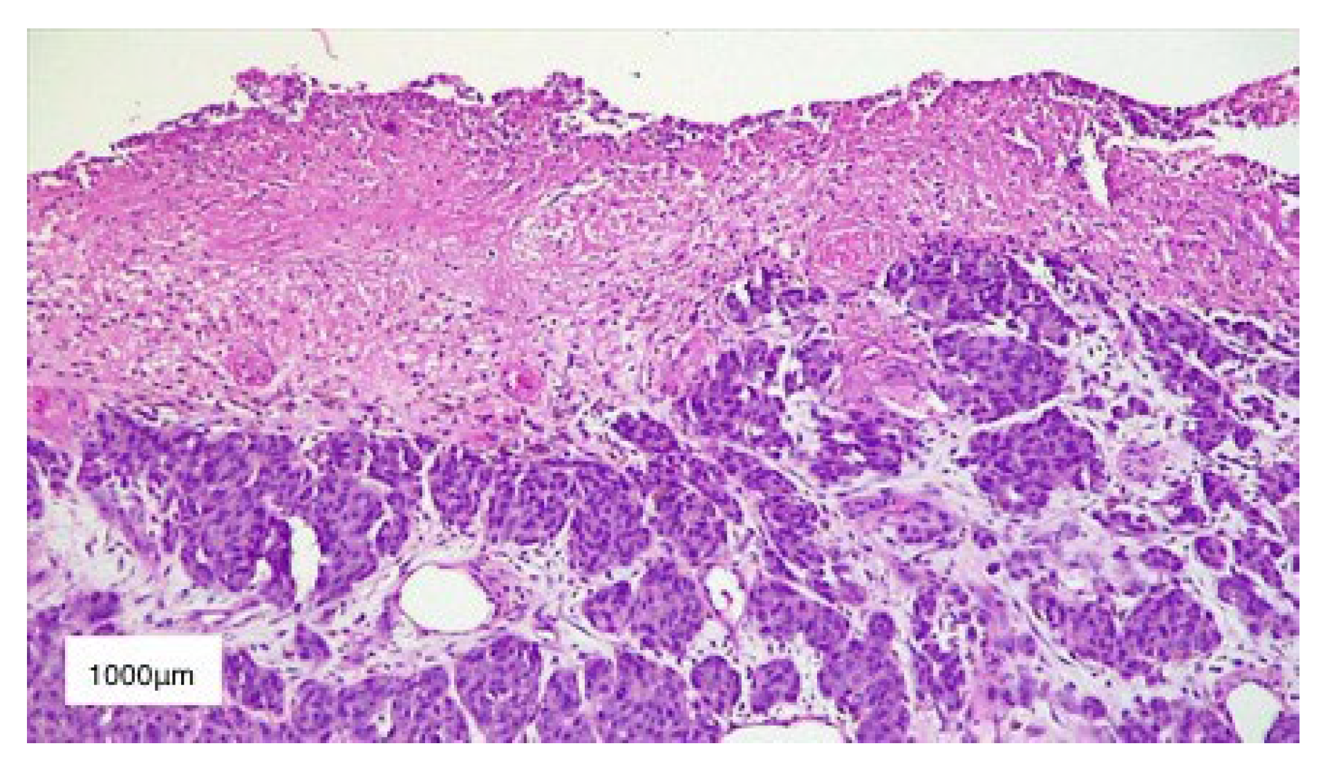 Diagnostics 13 01046 g004