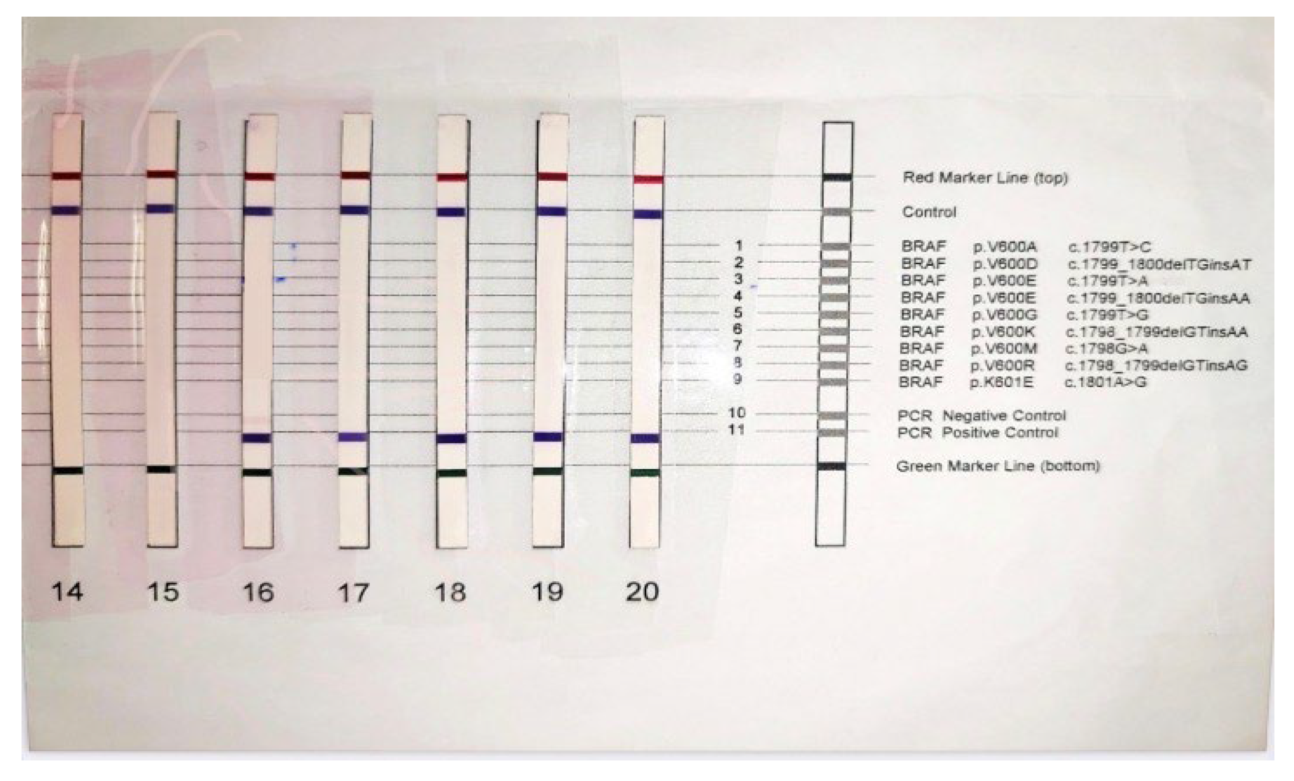 Diagnostics 13 01046 g007