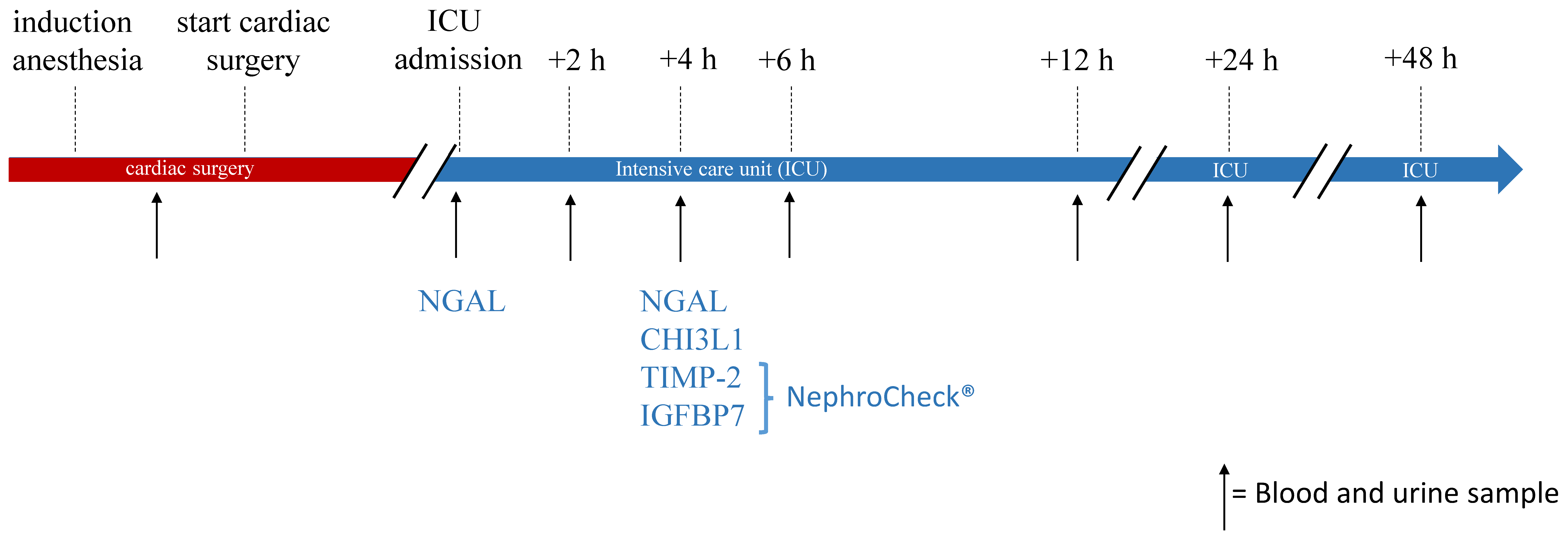 Diagnostics 13 01047 g002