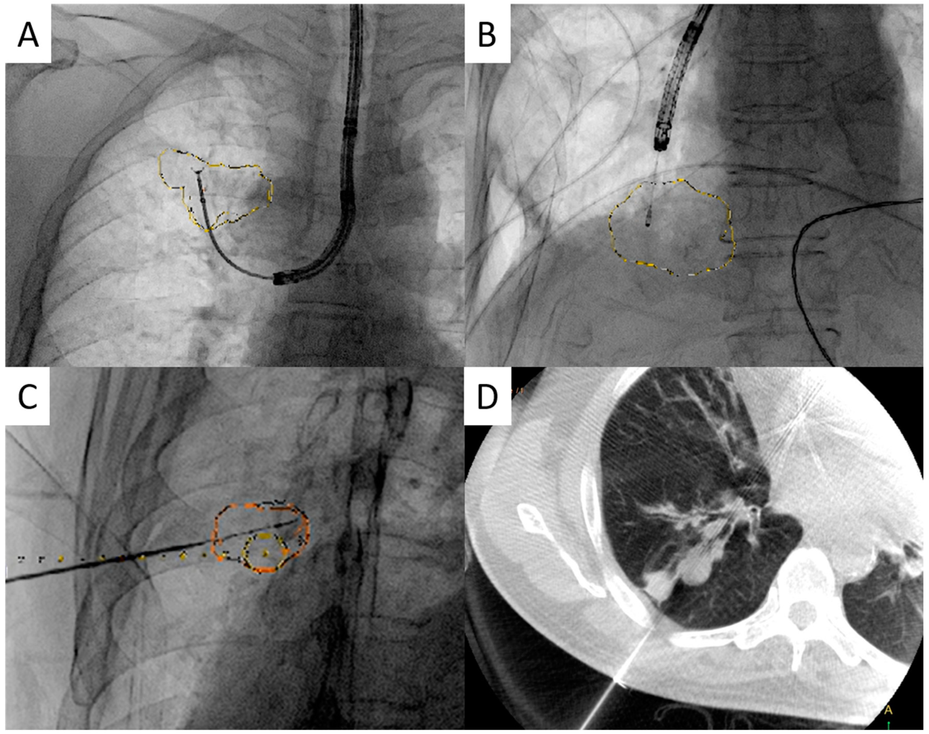 Diagnostics 13 01055 g002 Diagnostics 13 01055 g002