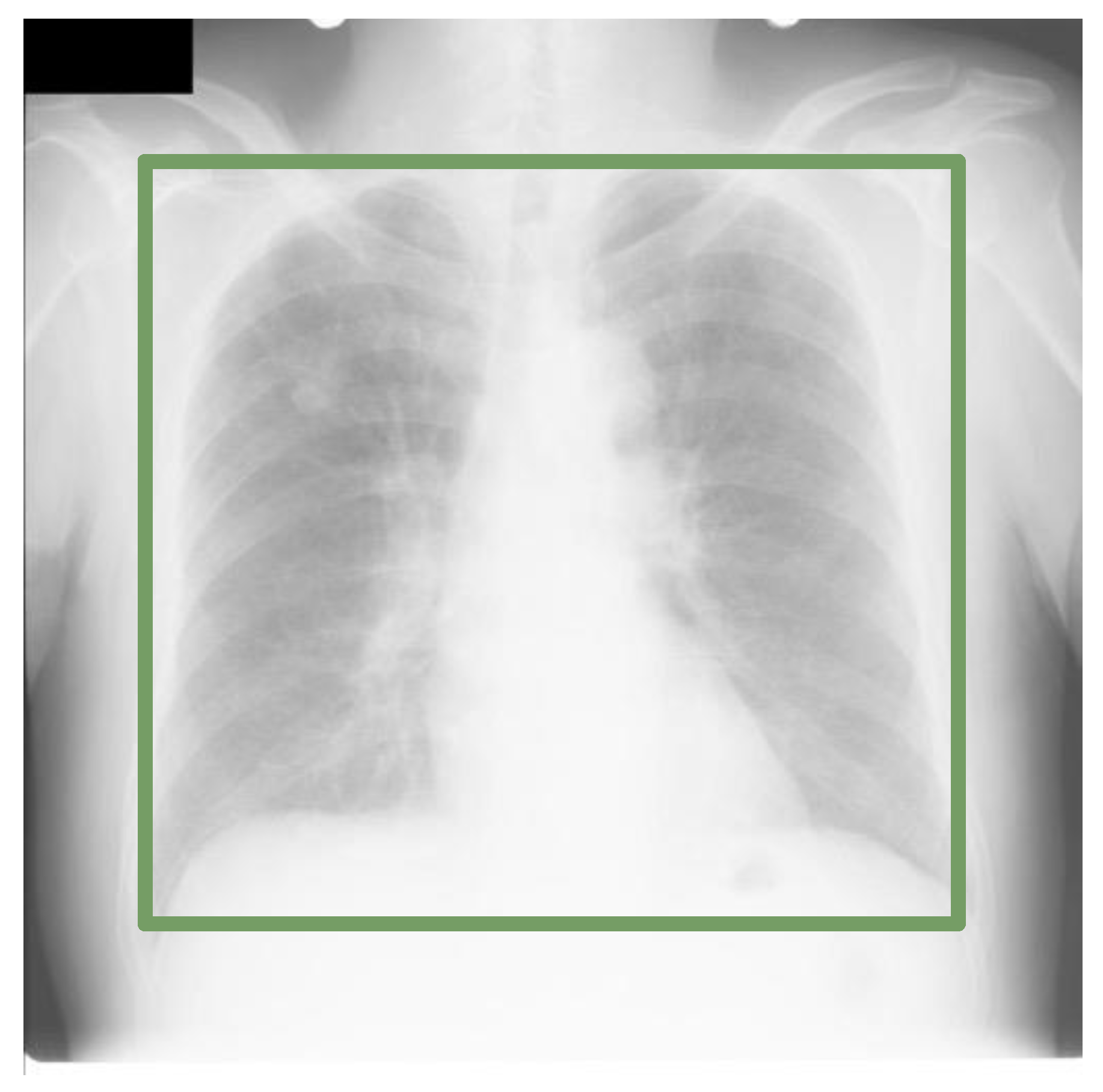 Diagnostics 13 01068 g001 Diagnostics 13 01068 g001