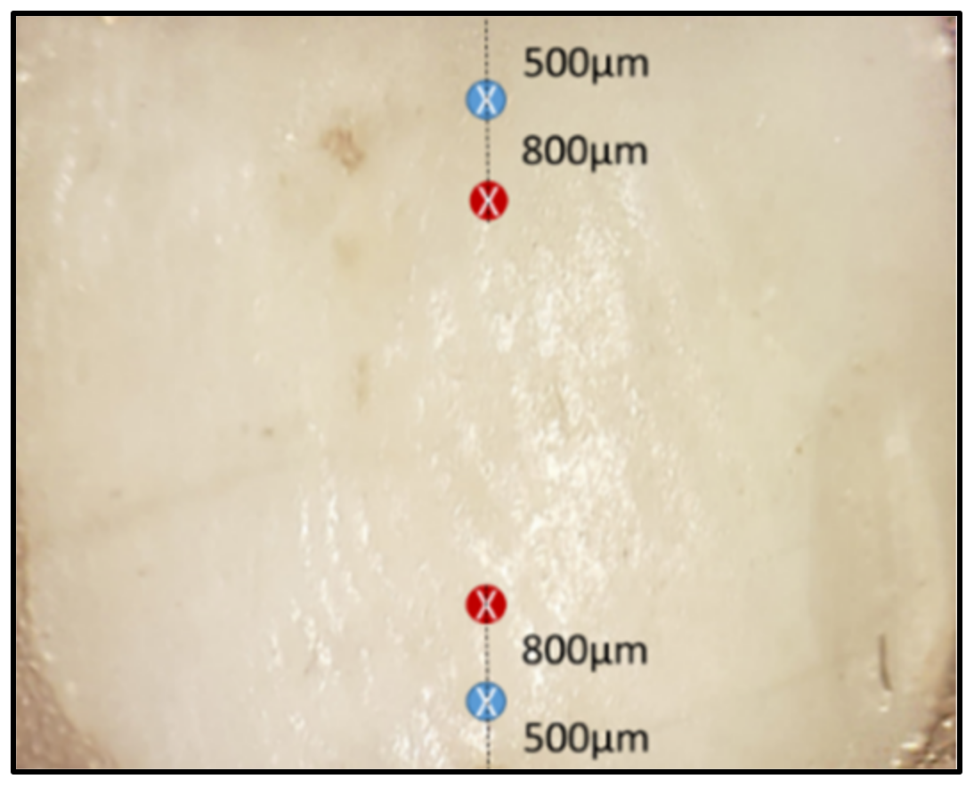 Diagnostics 13 01087 g001