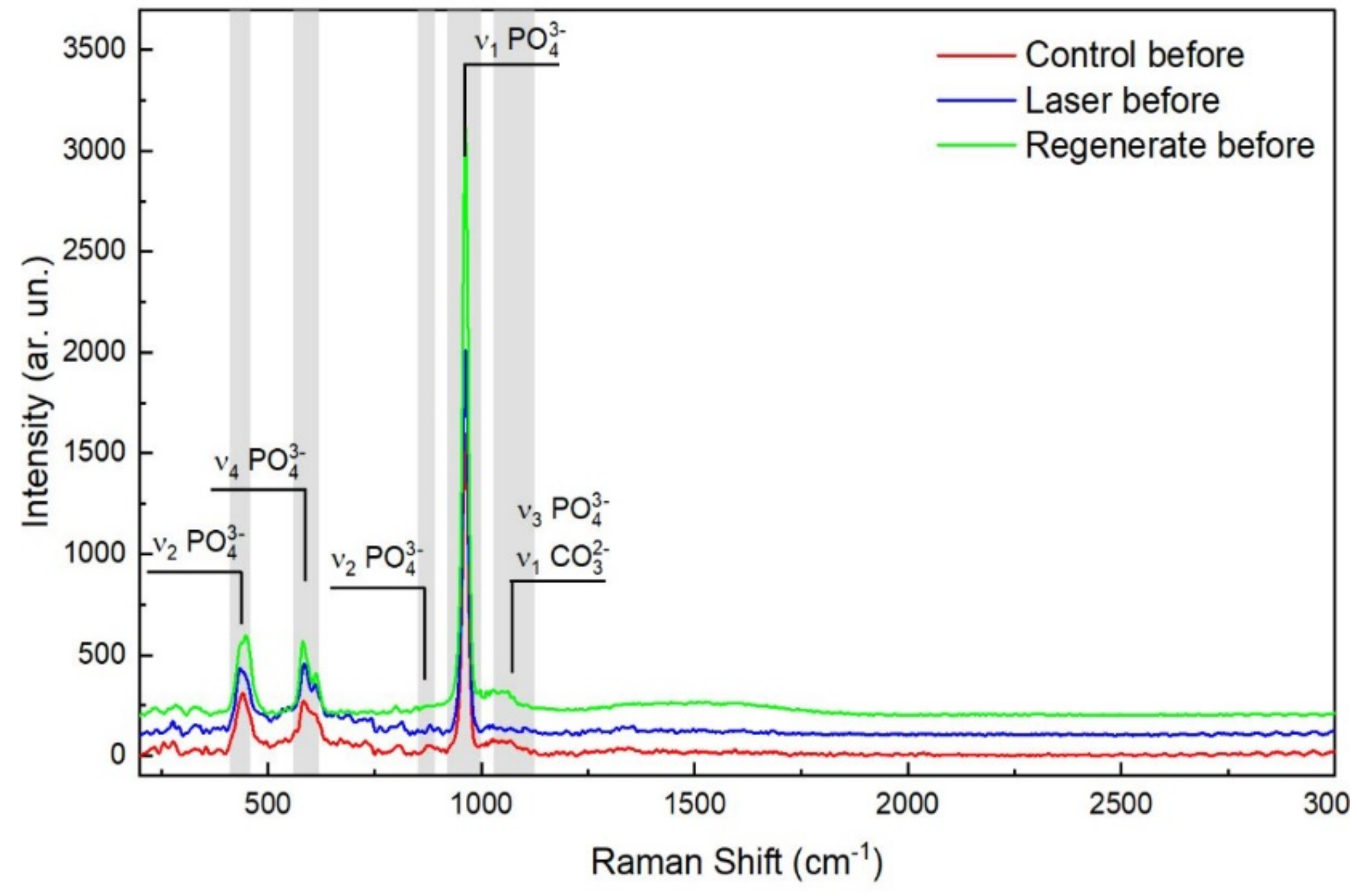 Diagnostics 13 01087 g002