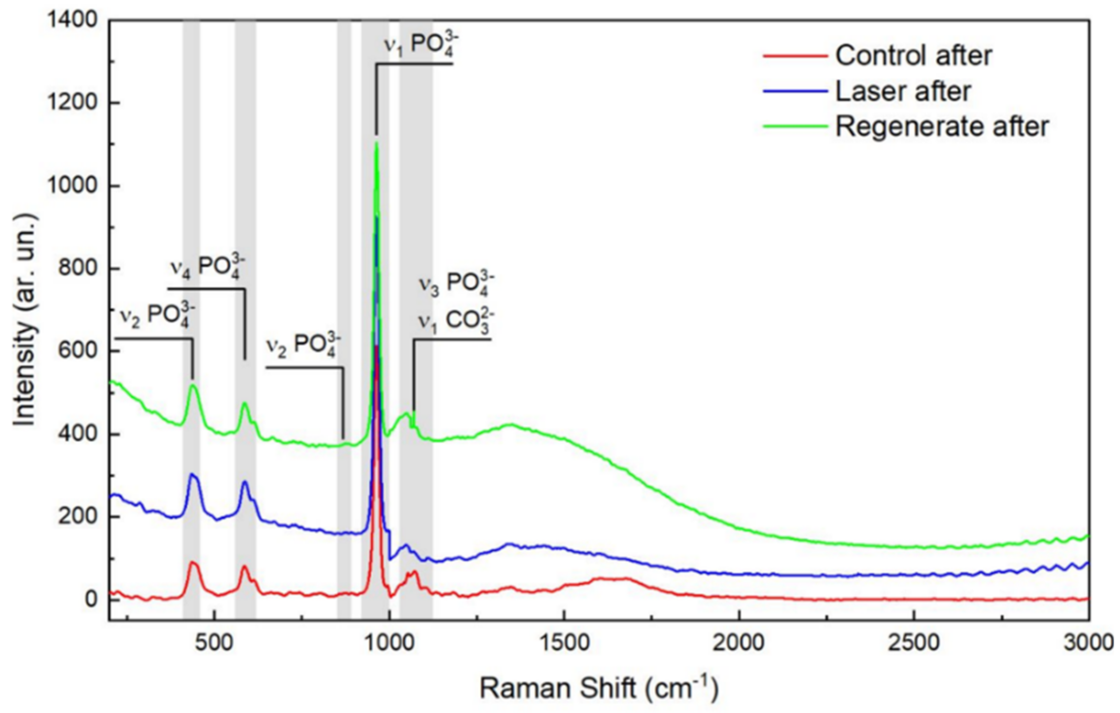 Diagnostics 13 01087 g003