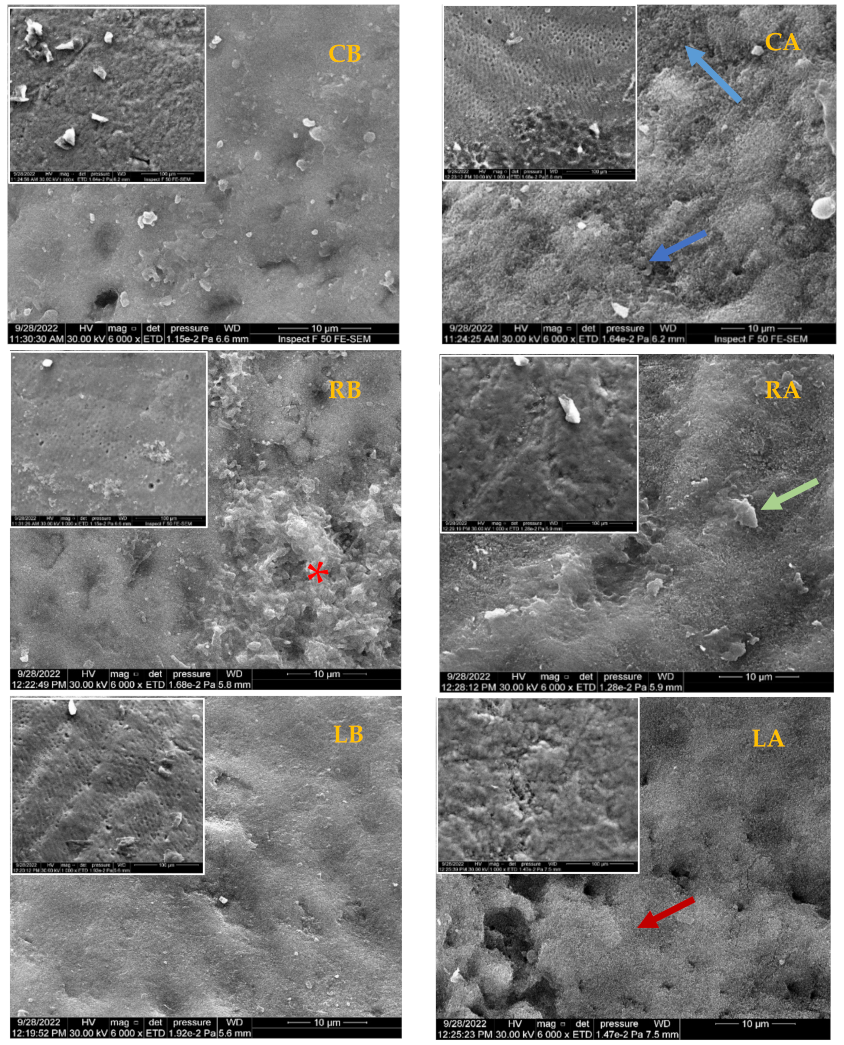 Diagnostics 13 01087 g005