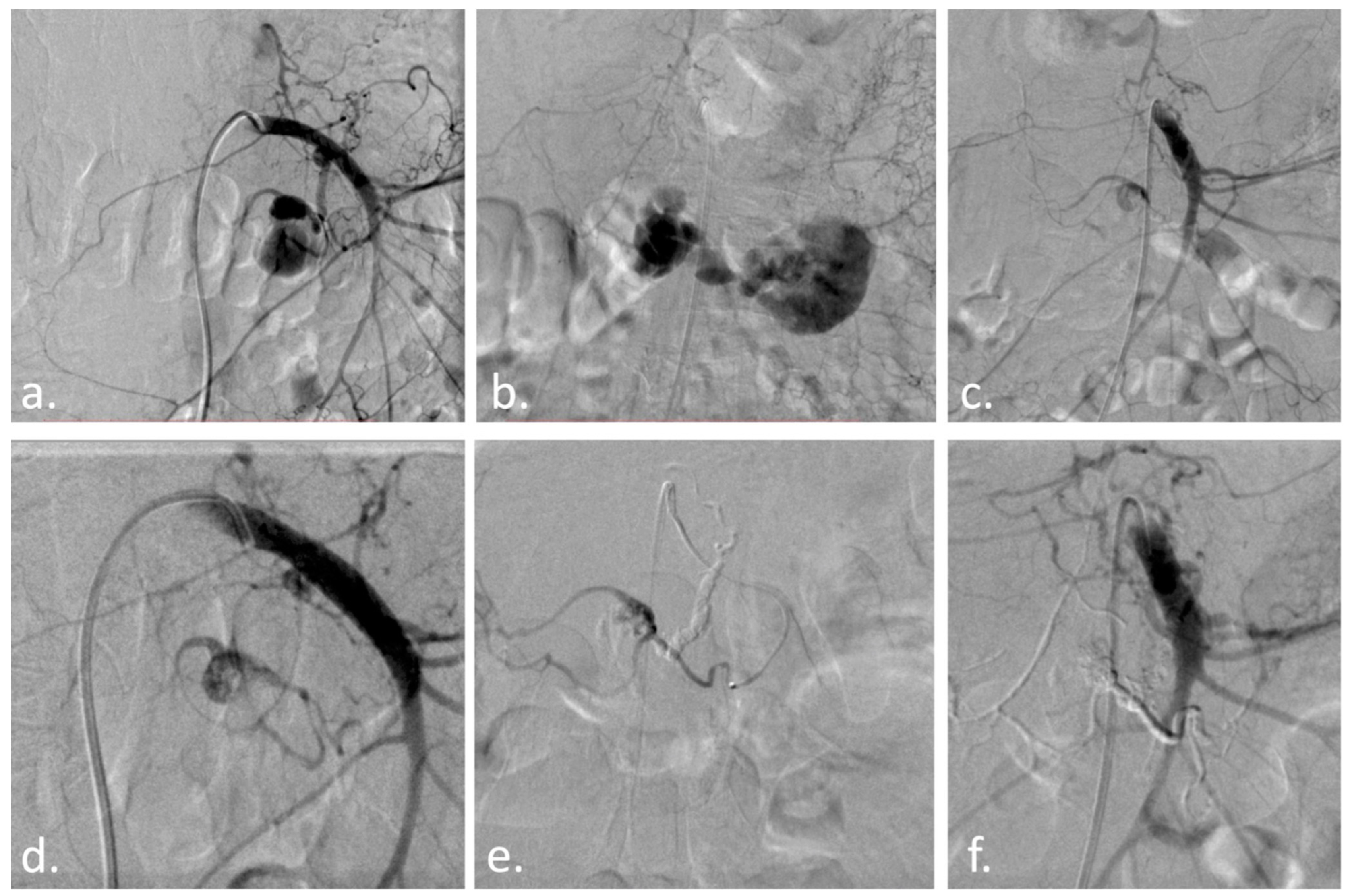 Diagnostics 13 01090 g002 Diagnostics 13 01090 g002