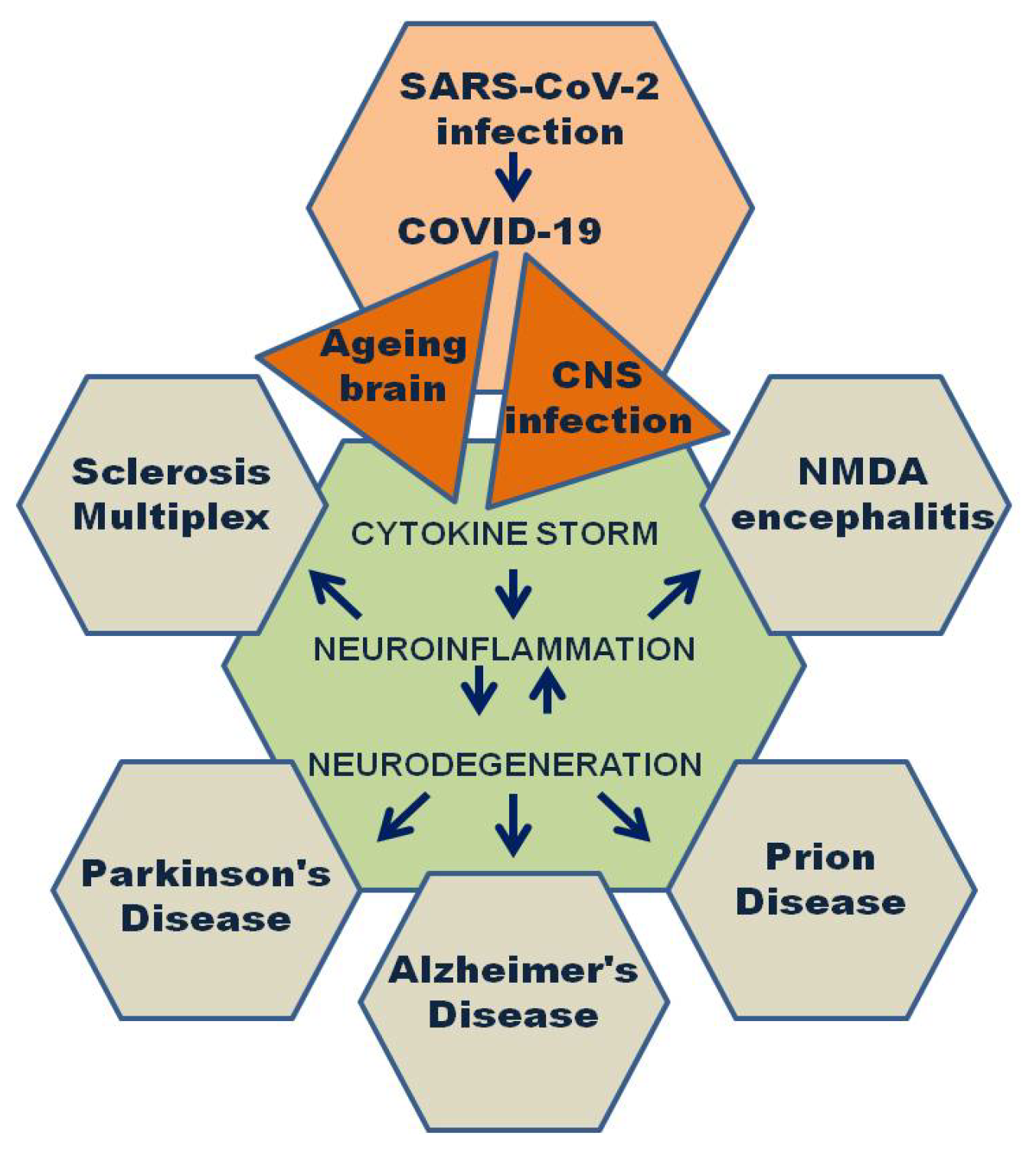 Diagnostics 13 01091 g001 Diagnostics 13 01091 g001