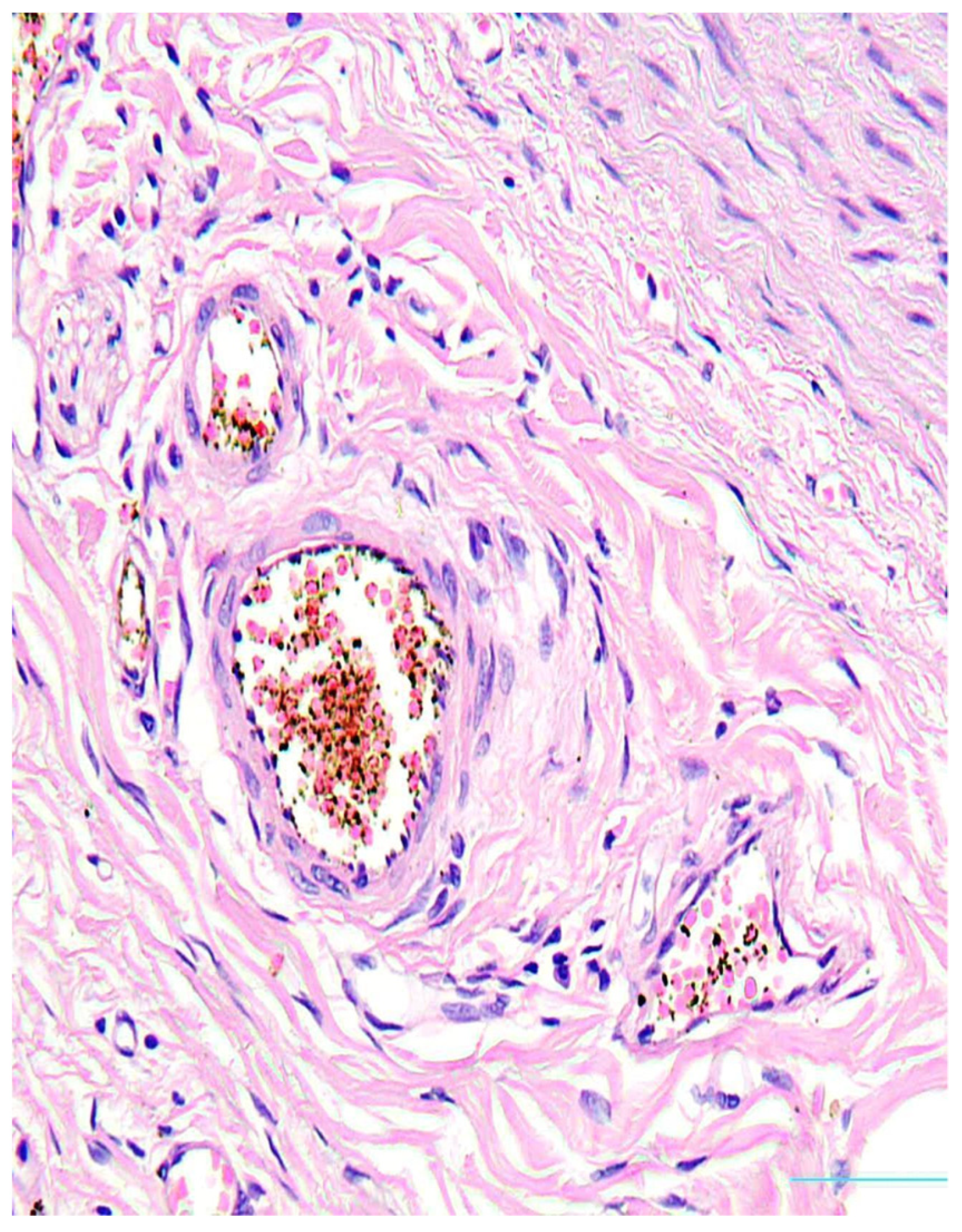 Diagnostics 13 01097 g003 Diagnostics 13 01097 g003