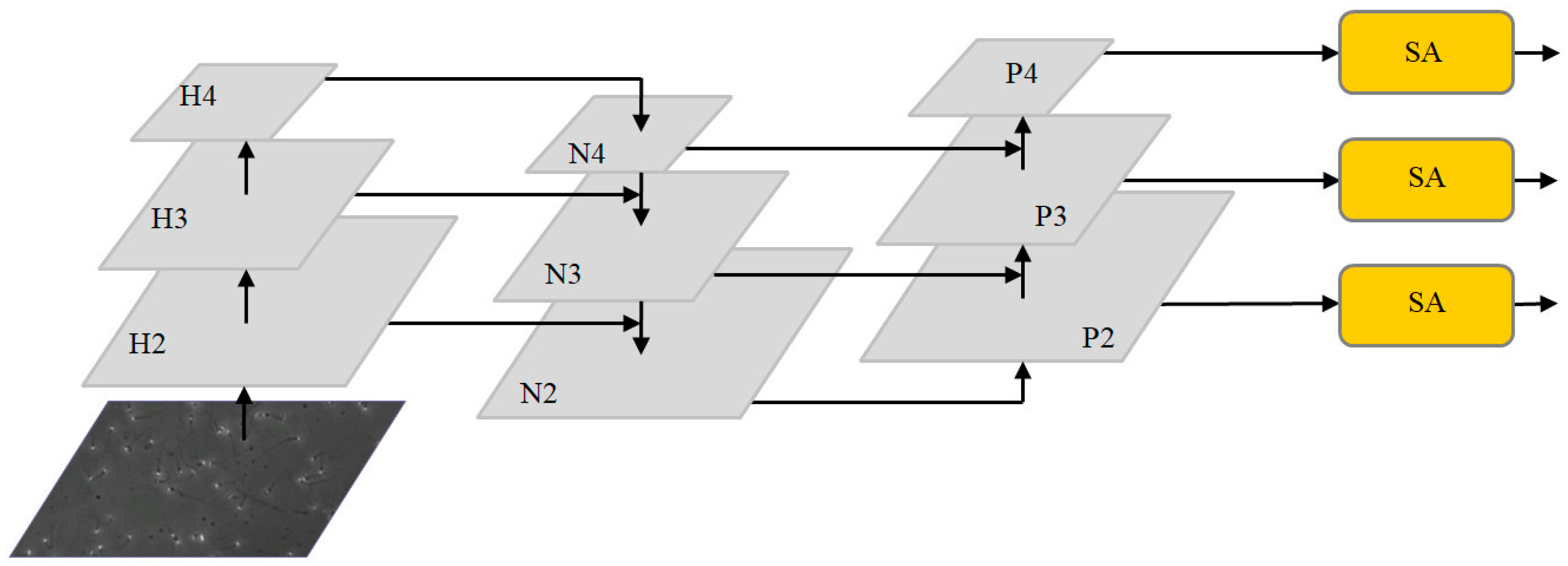 Diagnostics 13 01100 g003 Diagnostics 13 01100 g003